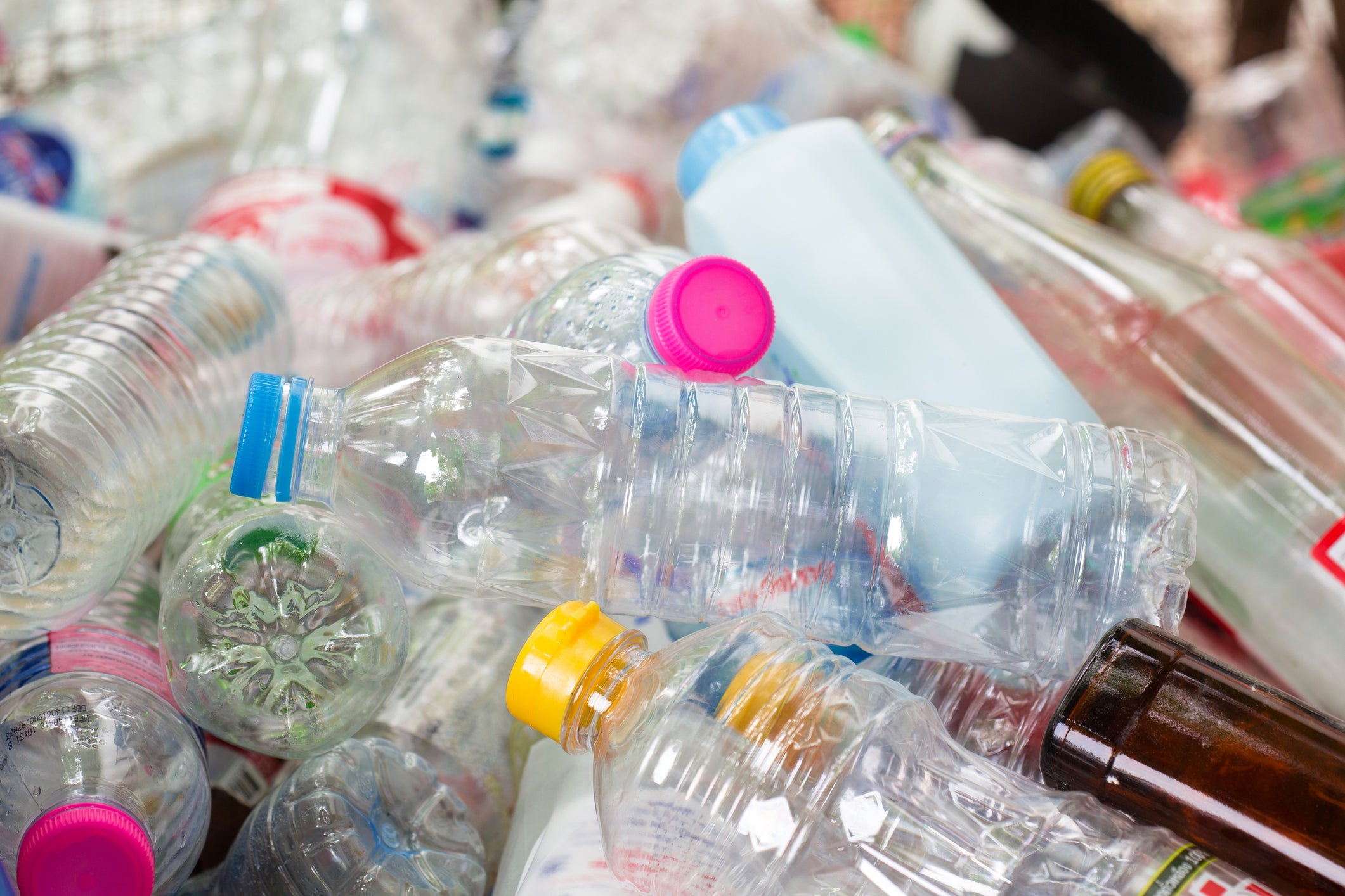 Plastic bottles can take 500 years to decompose in landfill