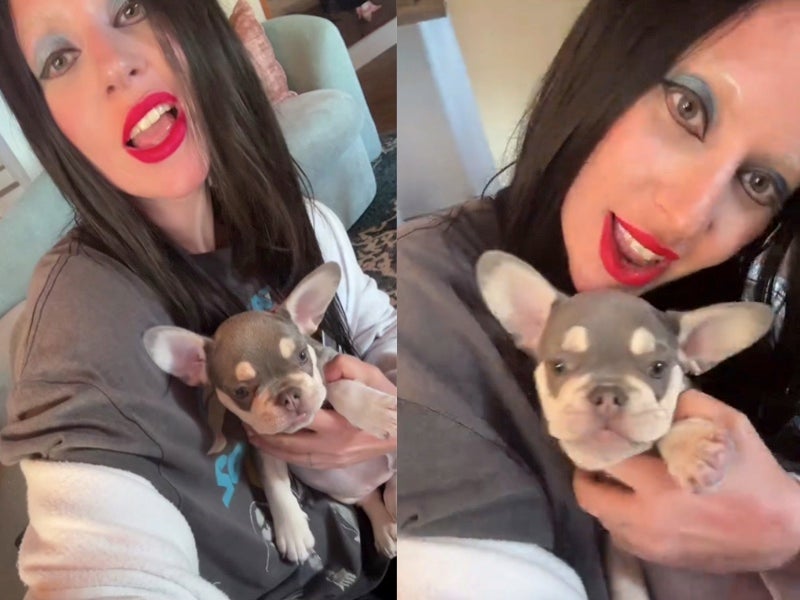 Pop star Lady Gaga, 38, debuted her new French bulldog puppy in a TikTok video