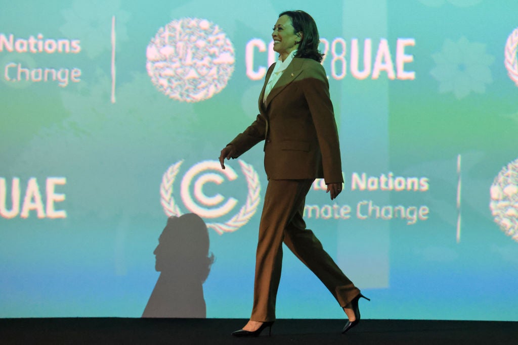 Harris was the Biden administration’s representative at the UN’s COP28 climate summit in December of 2023