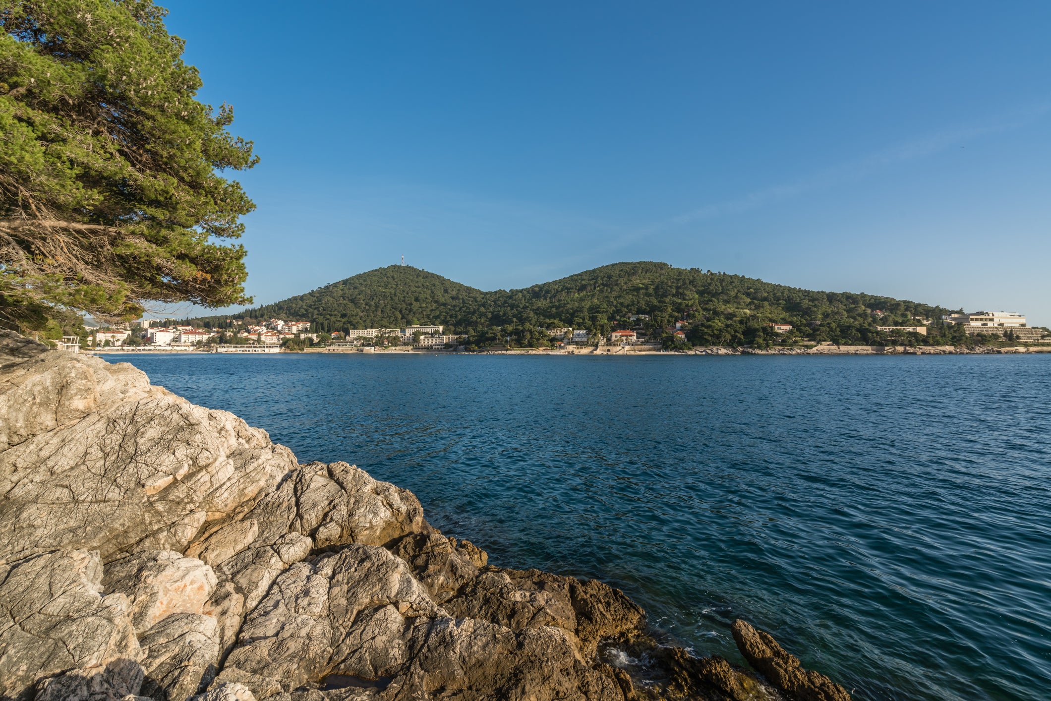 Velika and Mala Petka Forest Park is a hotspot for birdwatchers