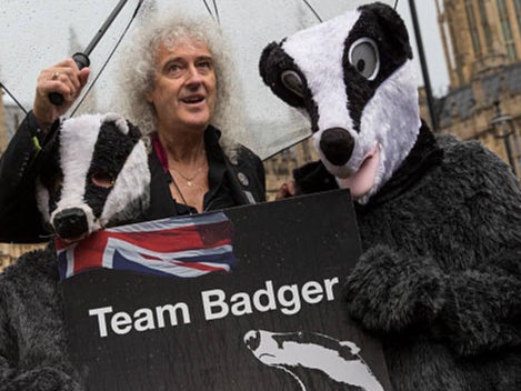 Brian May says the programme has to be shocking