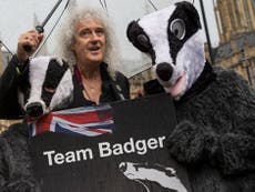 Badger cull film will prompt anger like Post Office drama, claims Queen’s Brian May