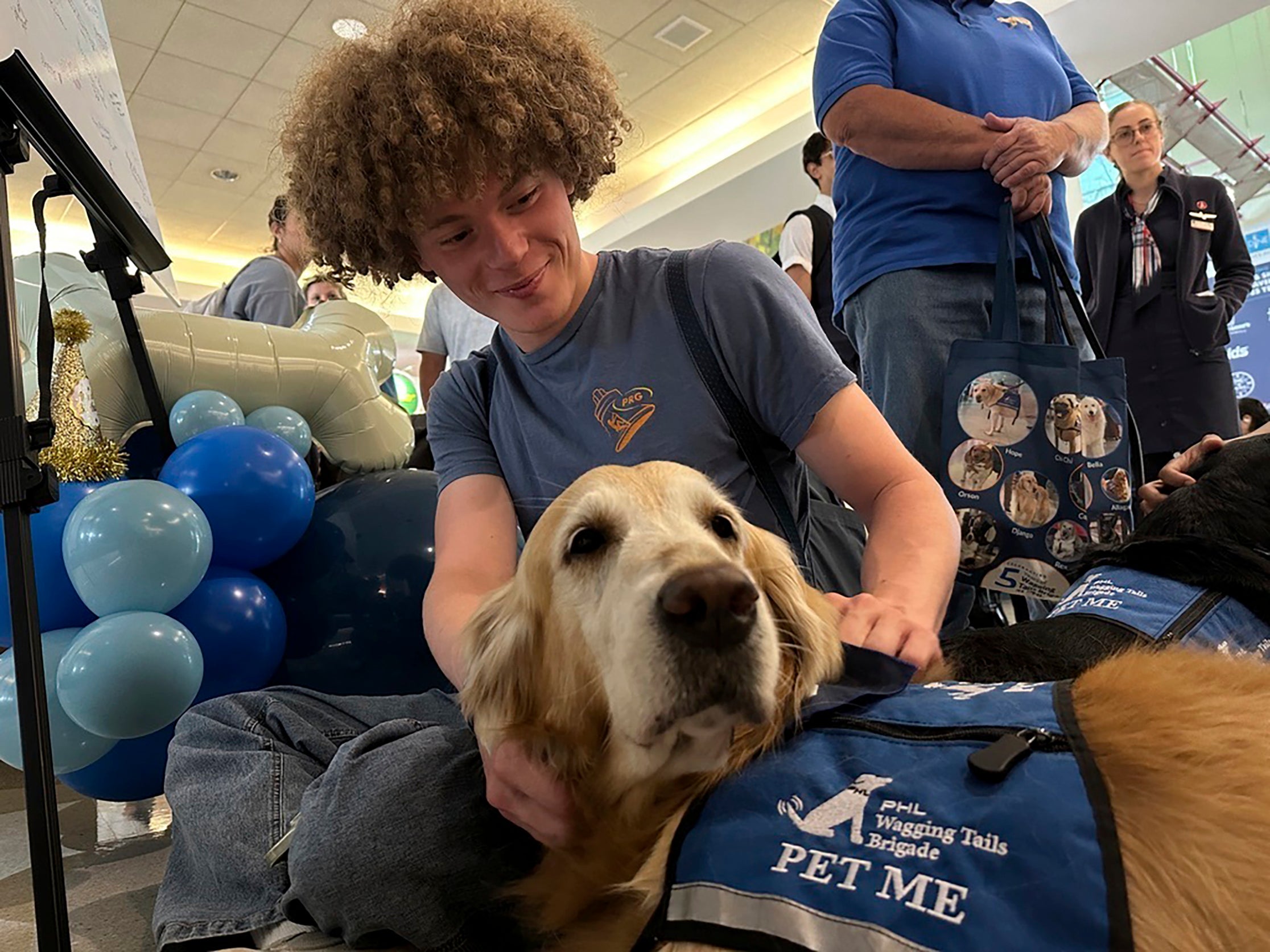 Airport Therapy Dogs