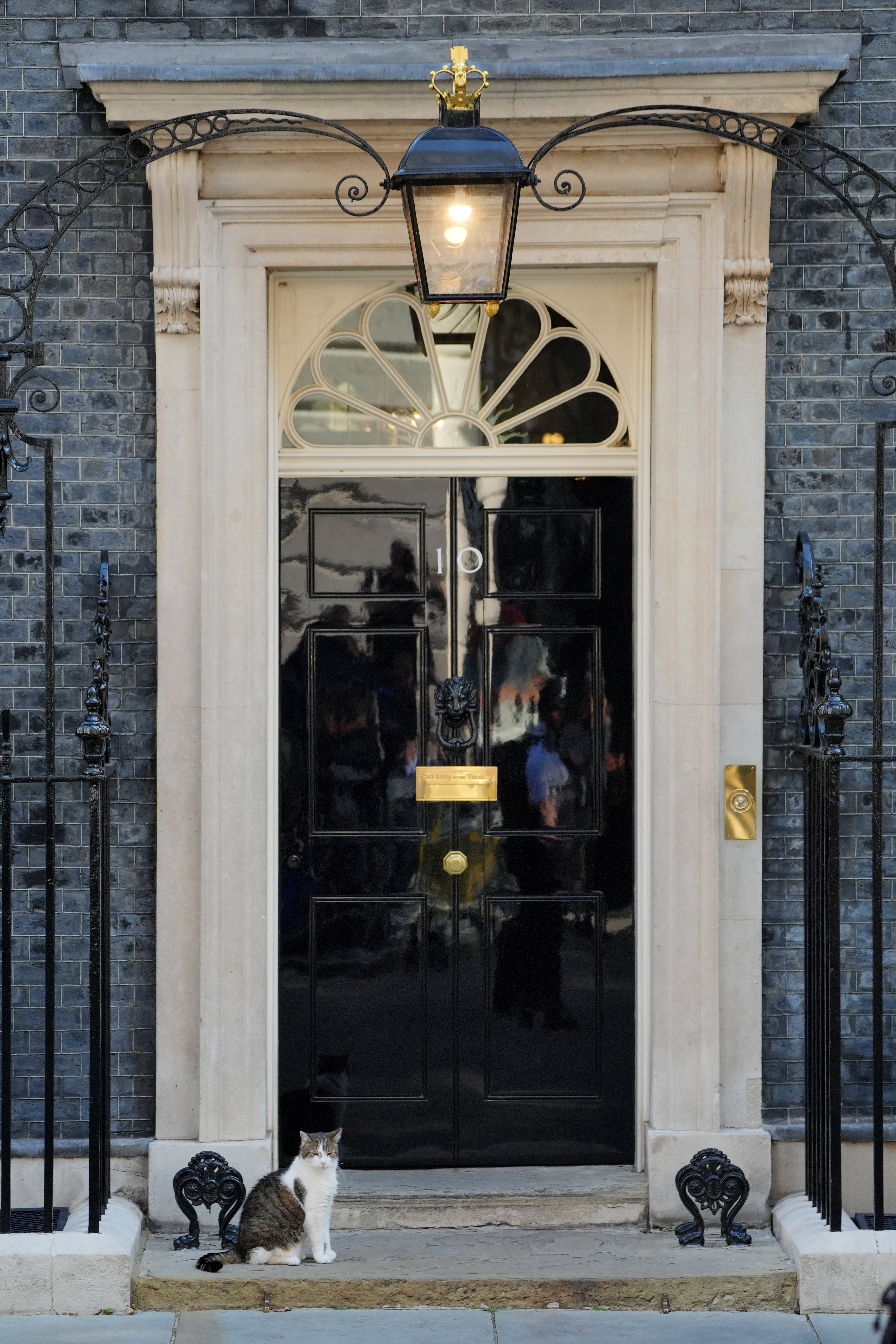 The cat was first brought into Downing Street by David Cameron as a pet for his children and has since outlasted five prime ministers