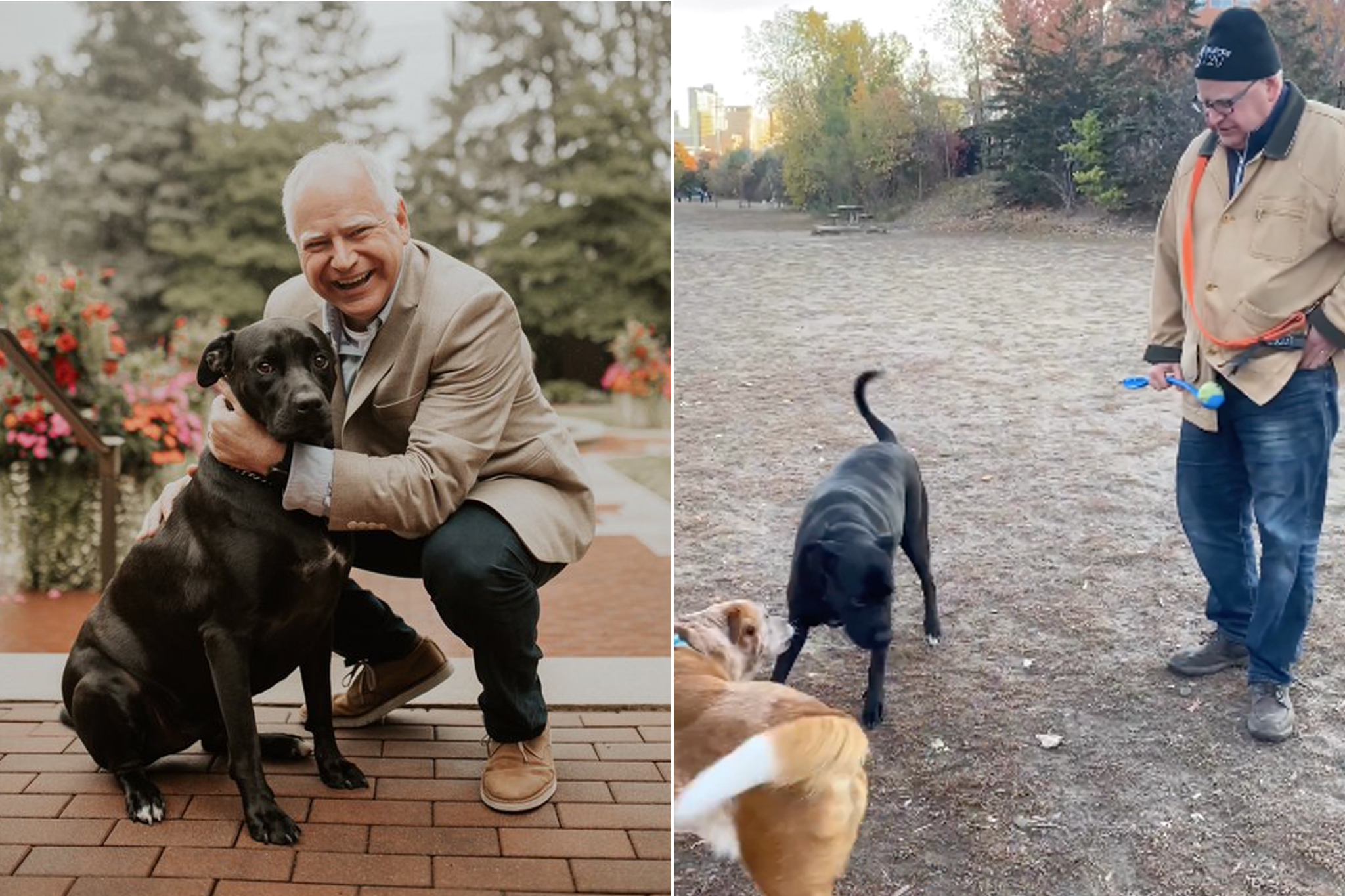 The photo on the left shows Tim Walz with his dog Scout, while the right is from a dogpark where he was pictured with another dog