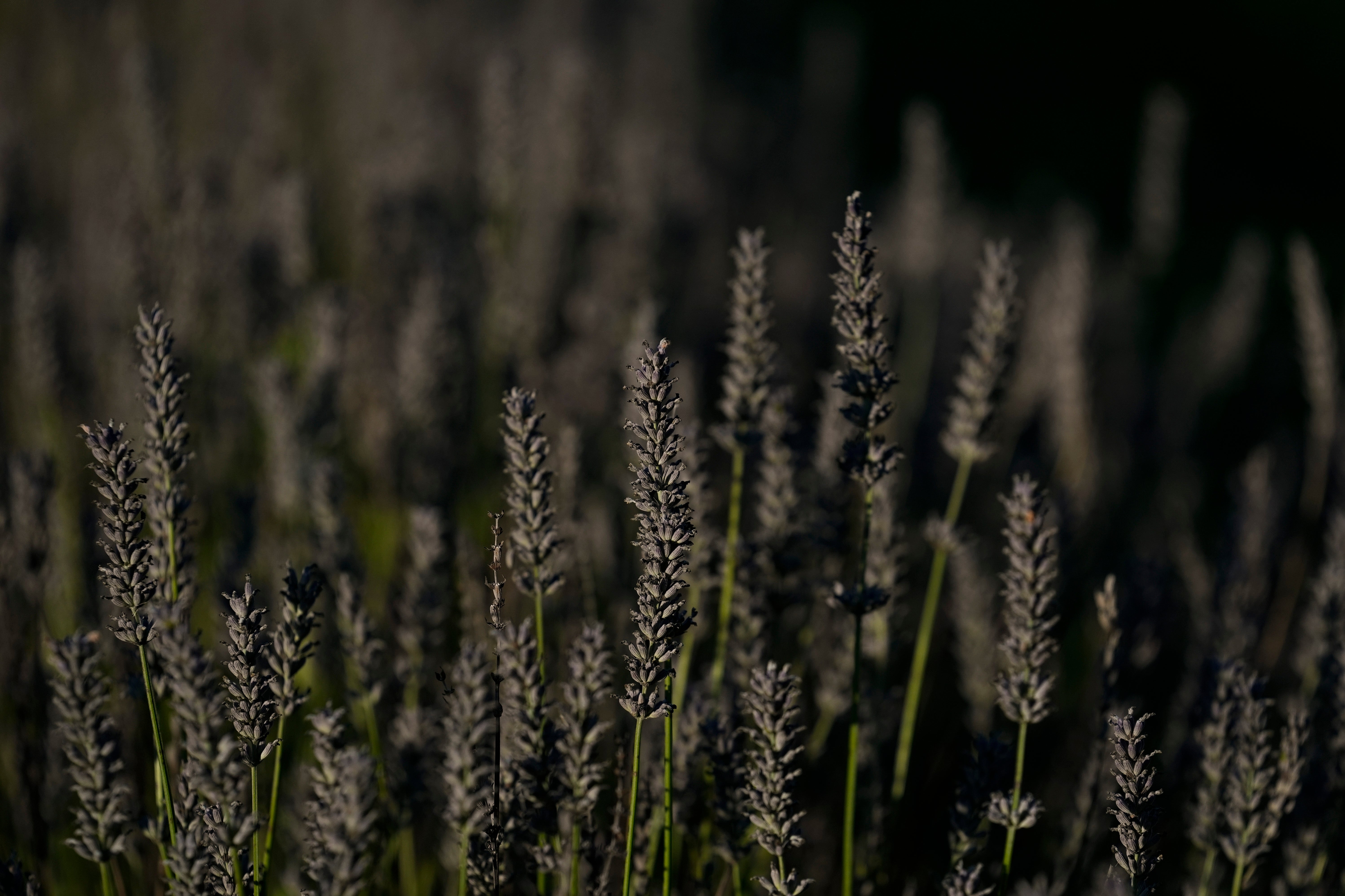 Climate Heat Skincare Sustainability