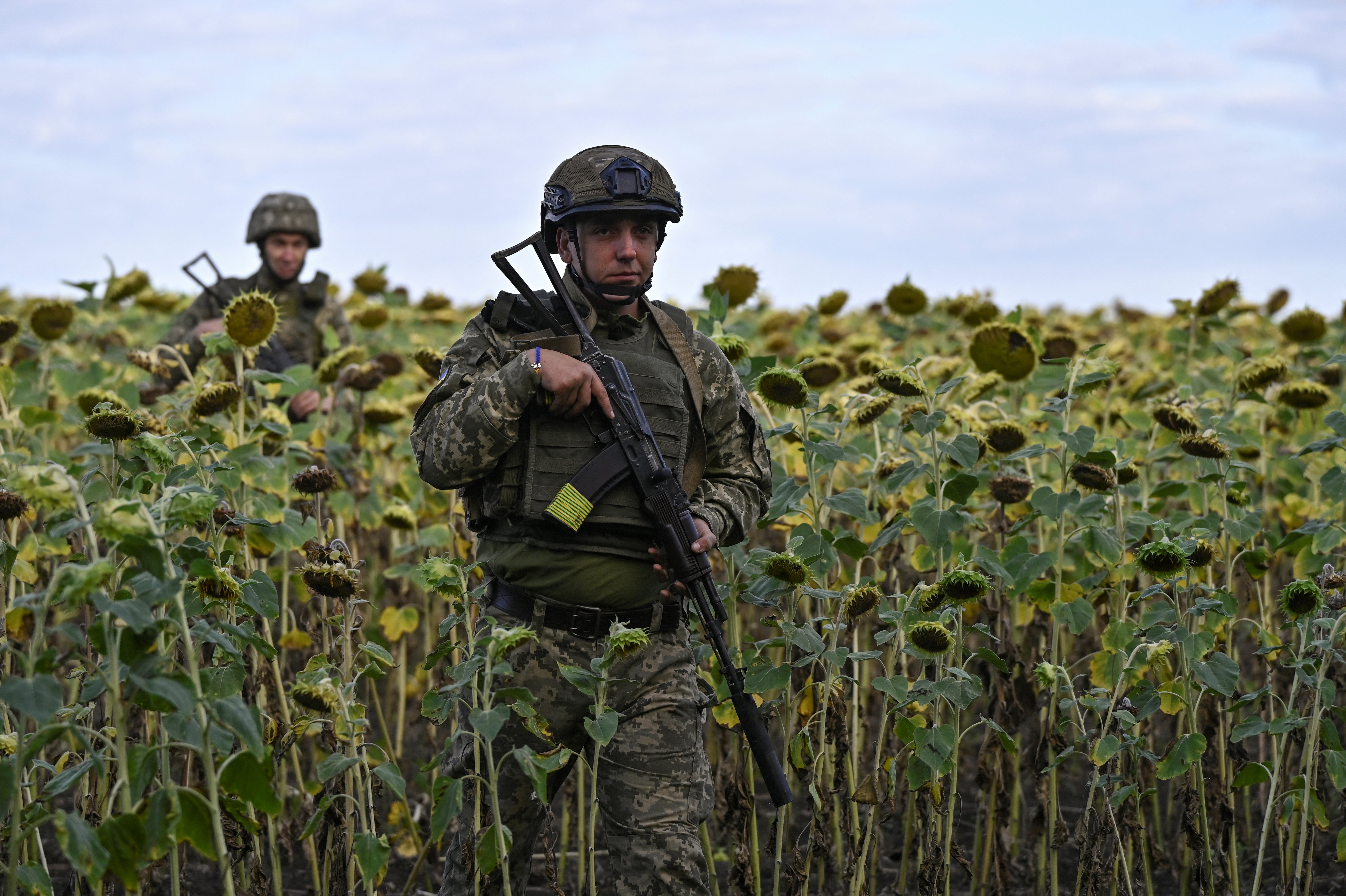 Ukraine servicemen walk among sunflowers, to their position outside the city of Pokrovsk, amid Russia’s attack on Ukraine