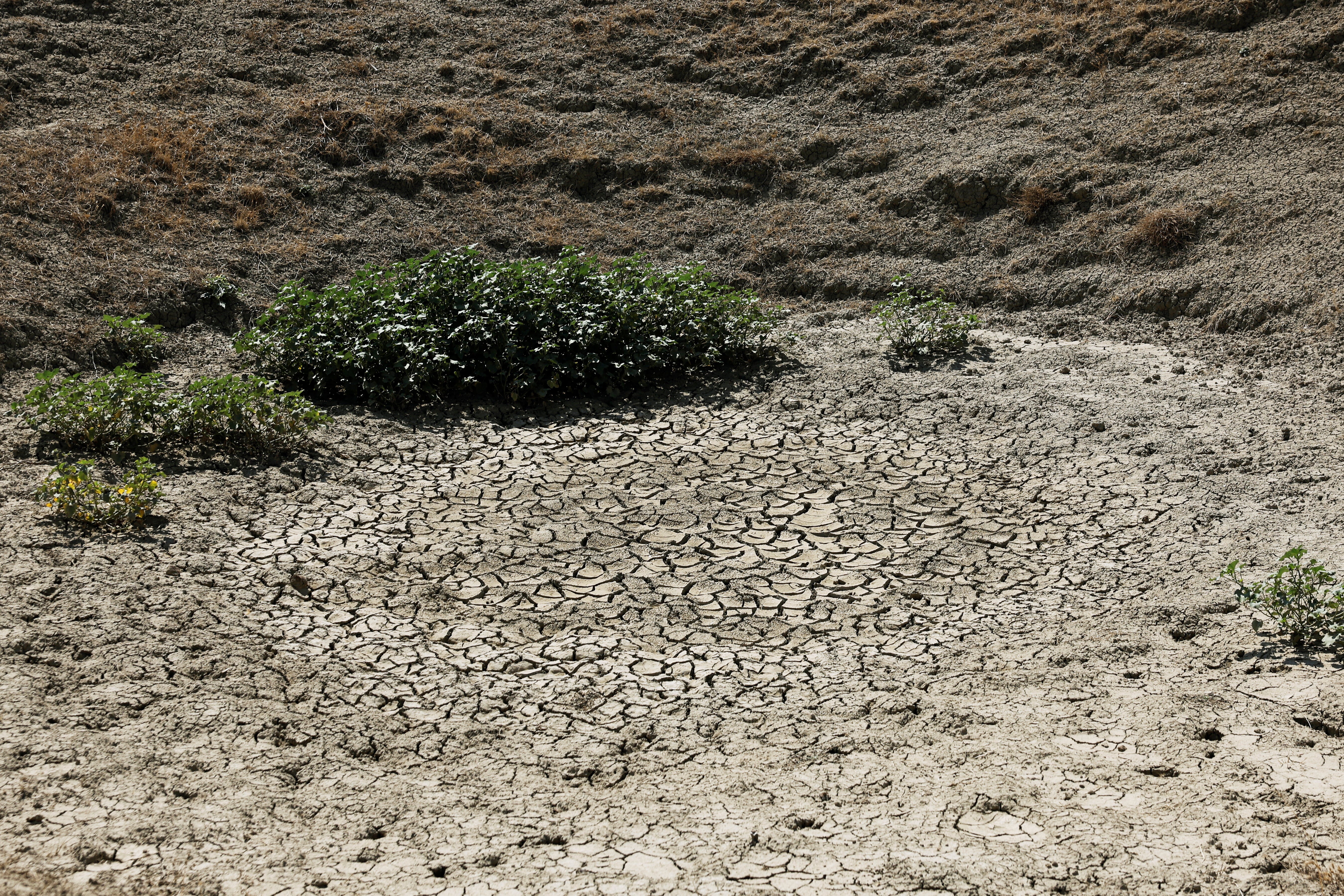 A dried lake is seen at Azienda Agricola organic farm following a drought on the Italian island of Sicily, in Caltanissetta, Italy, August 25,