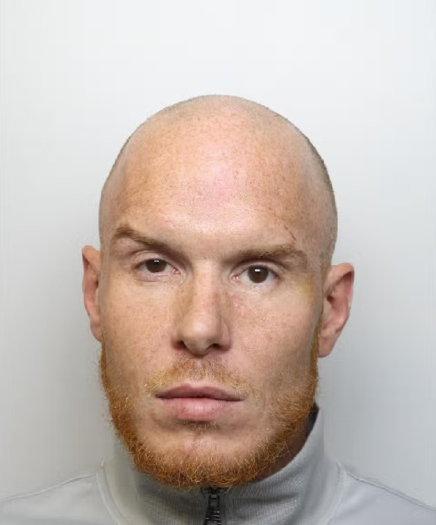 David Joseph Johnson was sentenced to 14 years in prison with 17 years on extended licence at Woolwich Crown Court