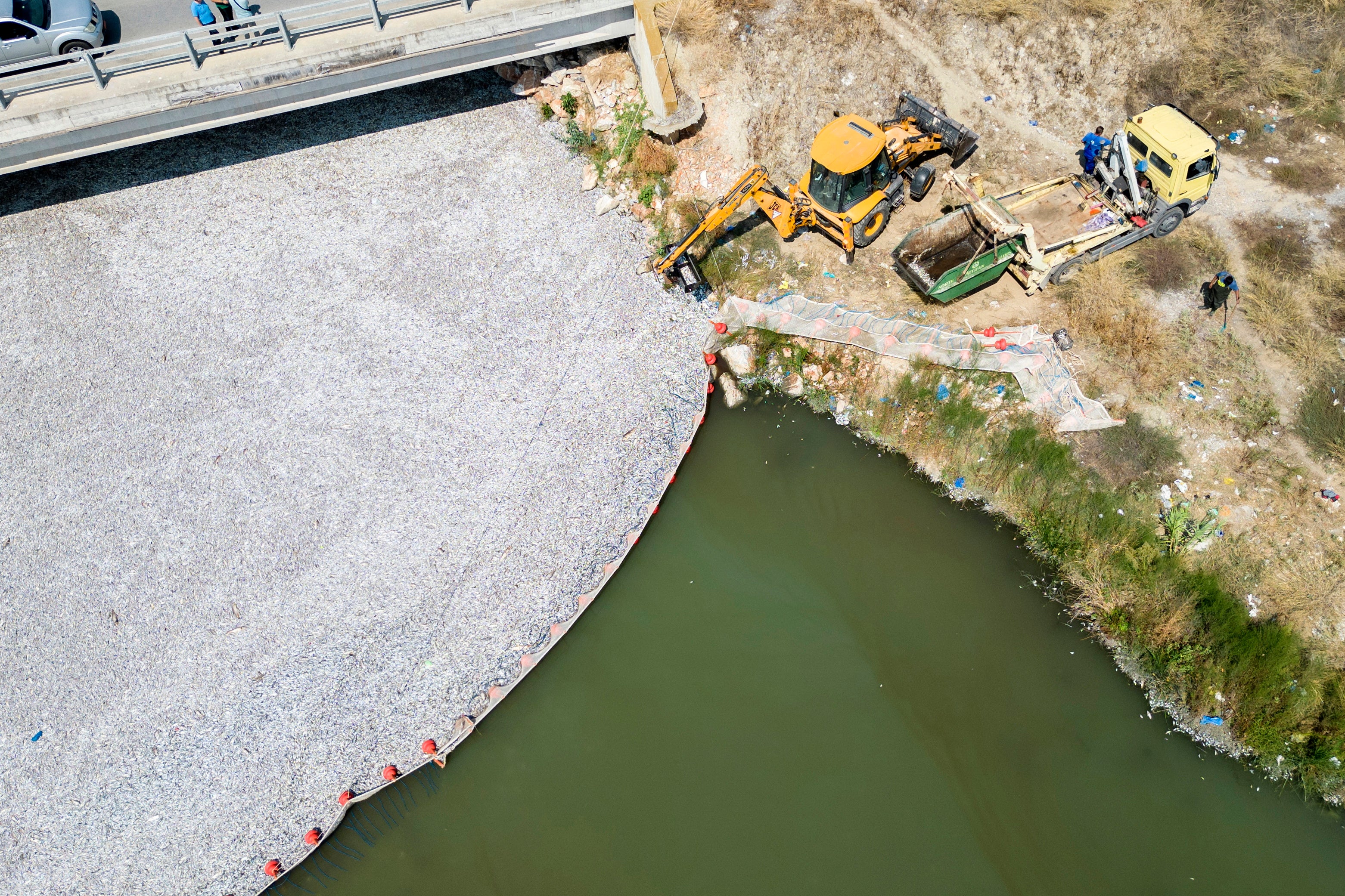 An image taken with a drone shows crews from the port of Volos collecting the dead fish from the protective net at the mouth of the Xiria stream, Volos, Greece