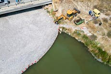 Race to stop river of dead fish as stench hits Greek tourist port 