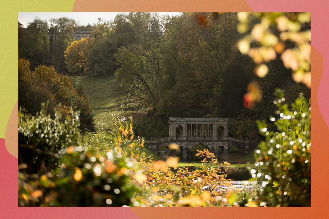 The National Trust is also offering a discount of 25 per cent off senior memberships