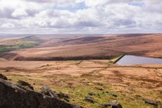 National Trust restores nature across area twice the size of Manchester