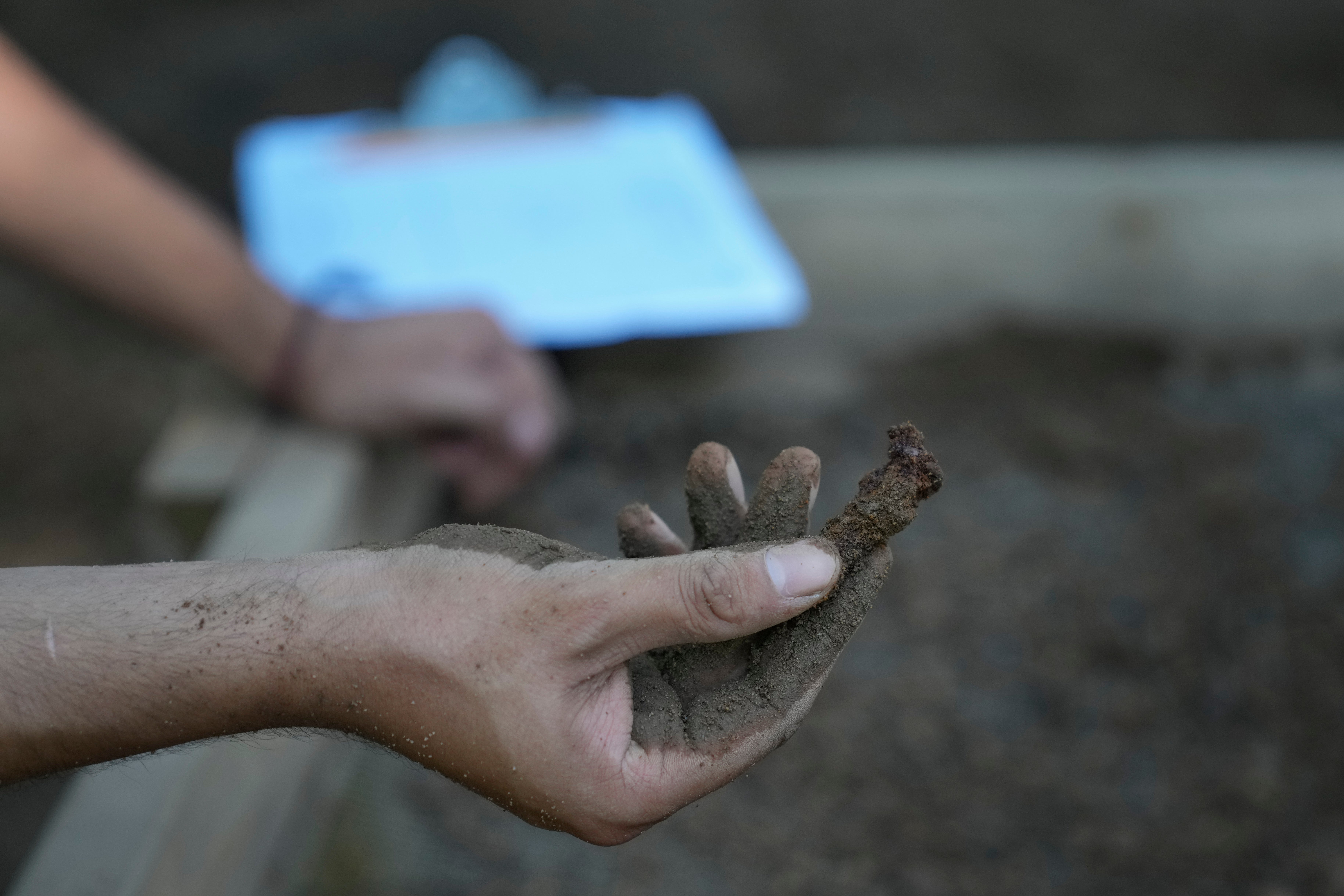 African Burial Ground