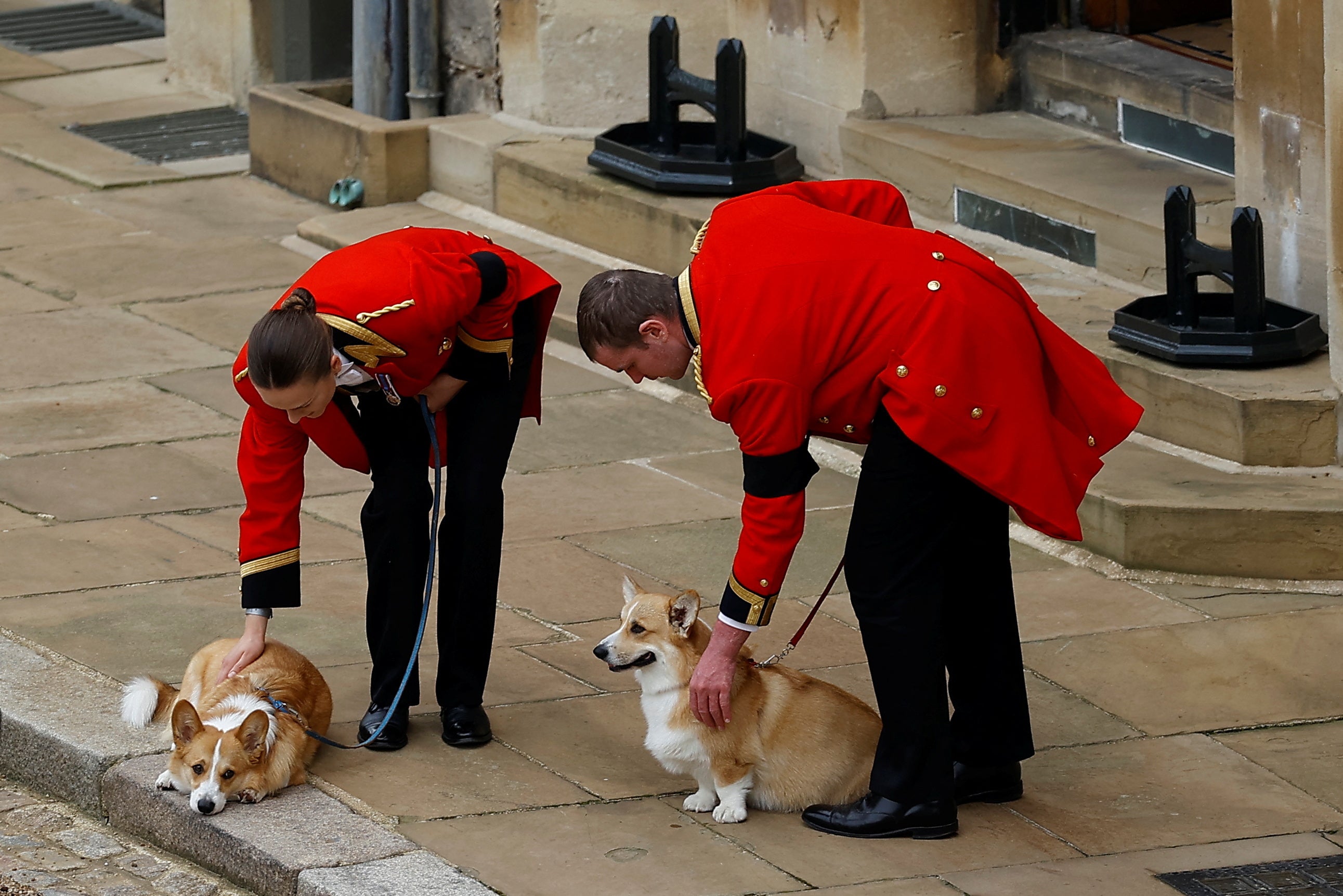 A picture of the Queen’s corgis waiting for her funeral cortege would become one of the defining images of her funeral