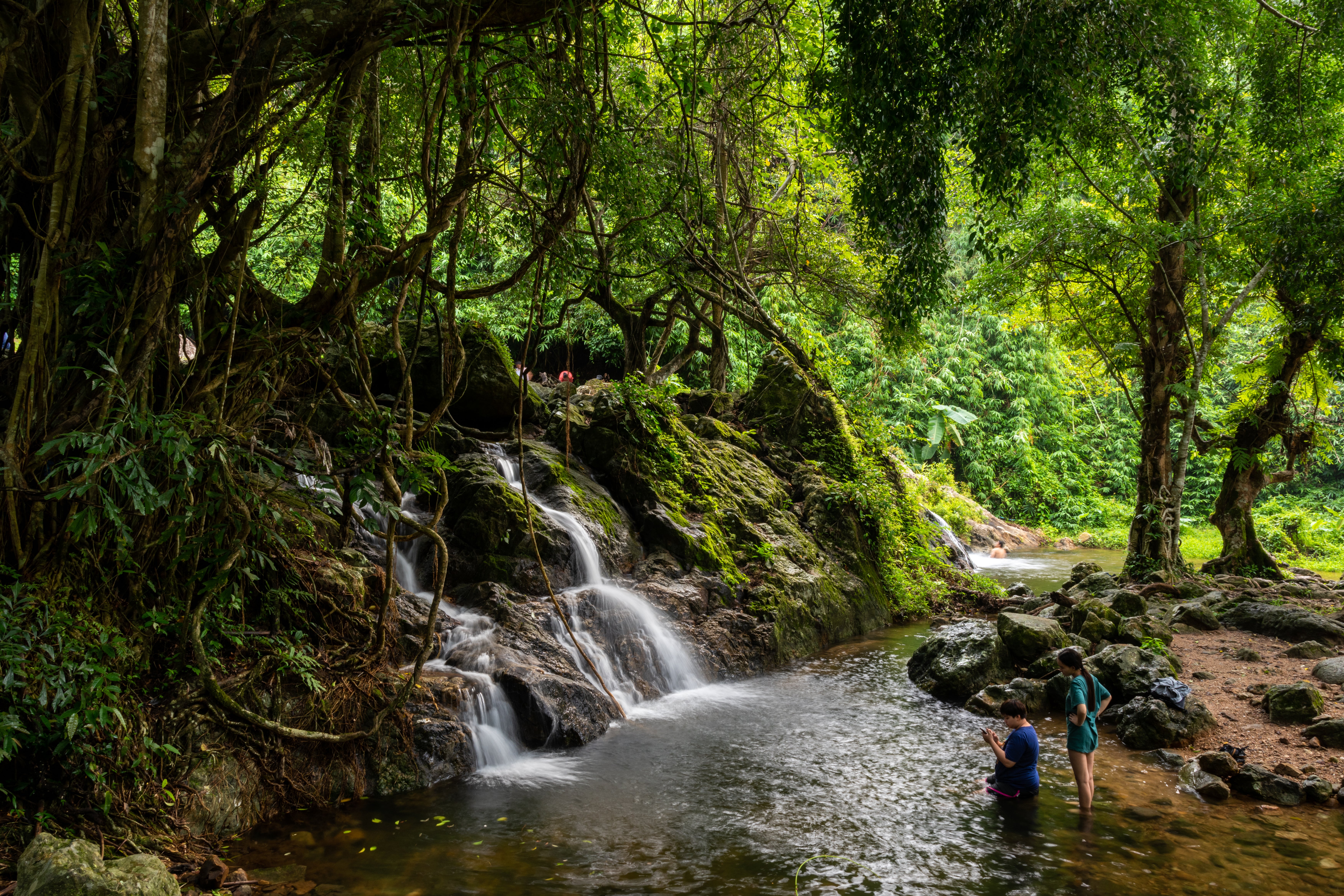 Khao Yai National Park is a forest and grassland haven