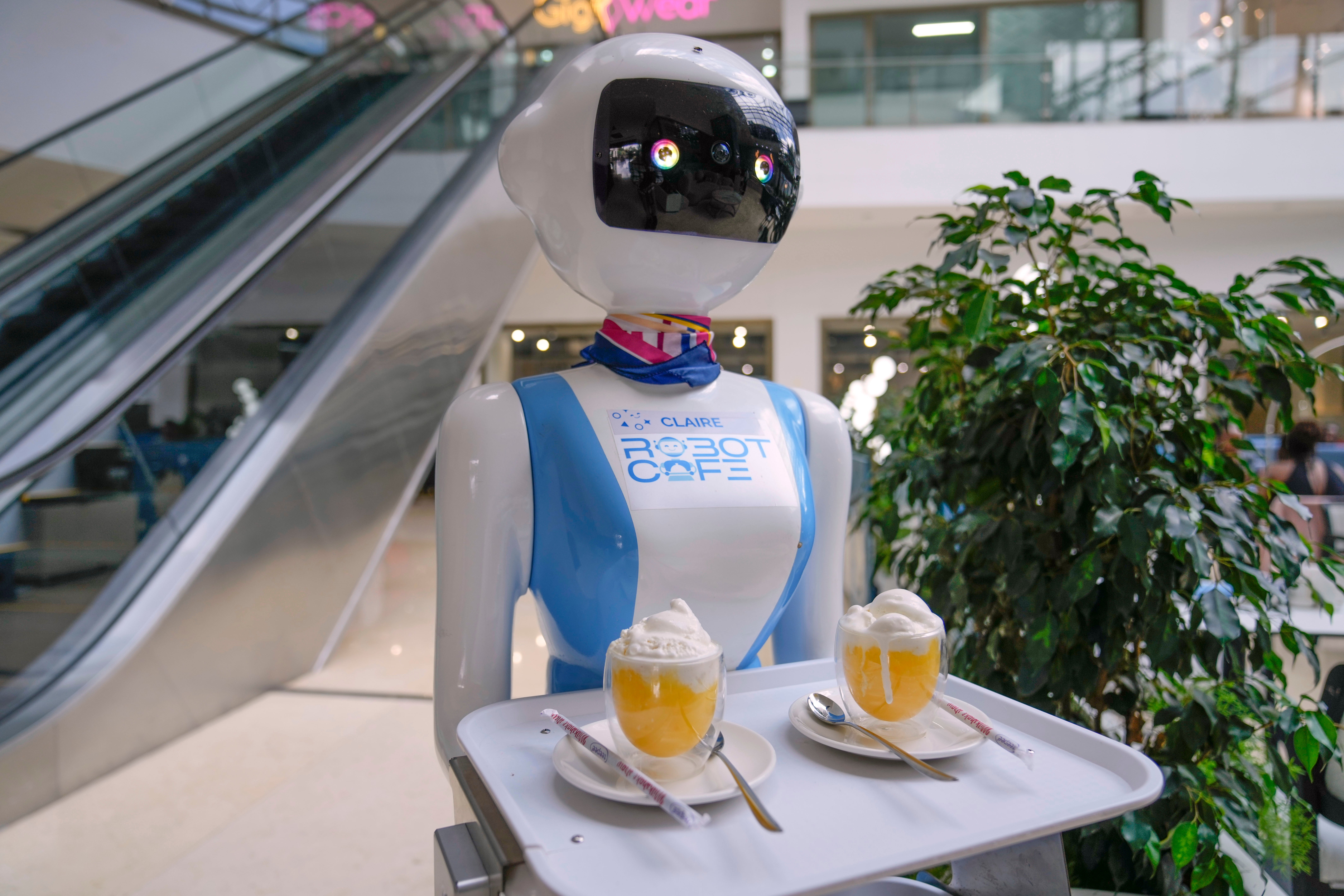 Kenya Robot Waiters