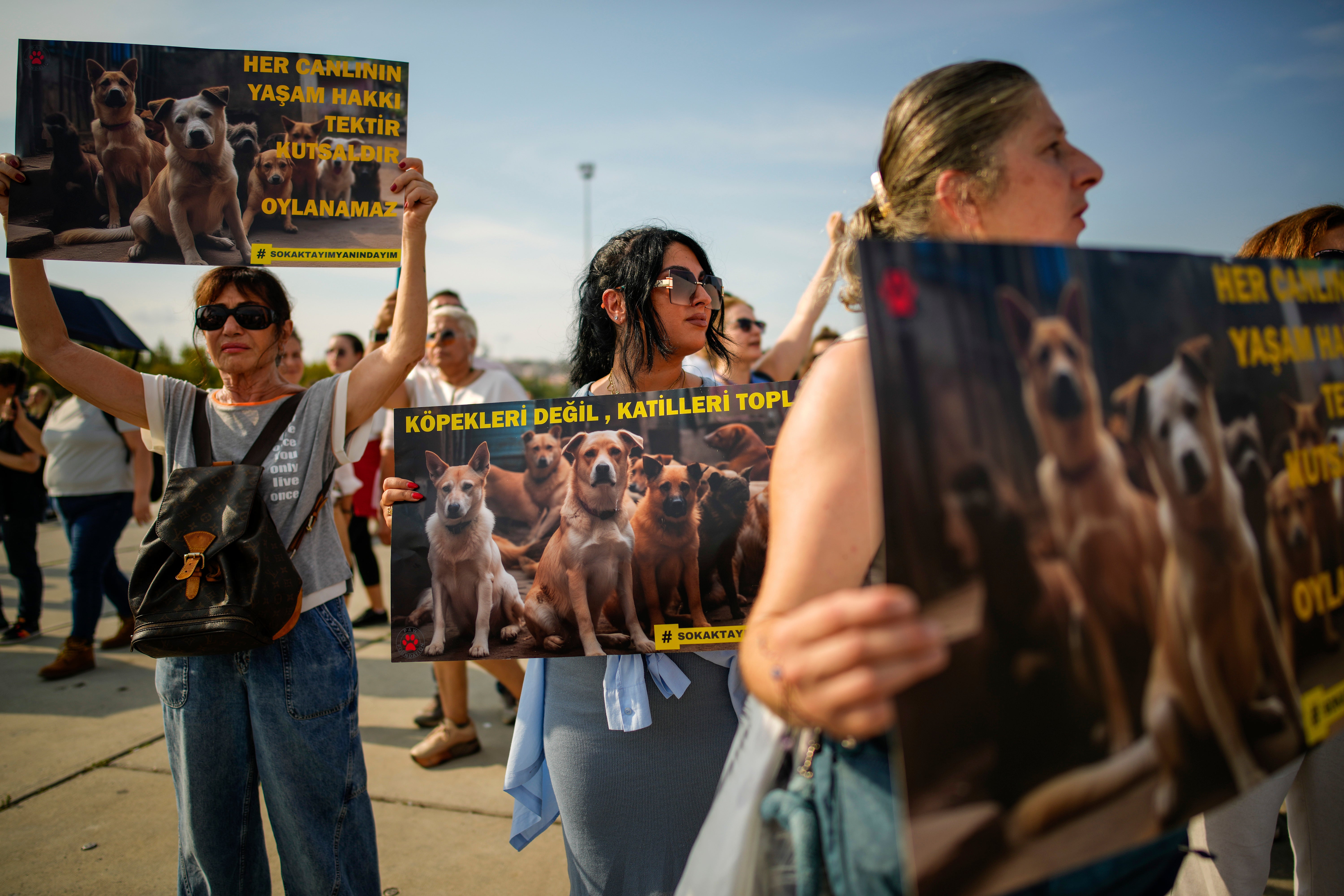 People shout slogans during a protest against a bill approved by Turkish legislators that aims to remove stray dogs