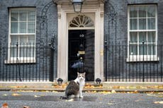 Live: Keir Starmer’s cabinet arrive at No 10 ahead of chancellor’s budget grilling