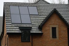 All new homes should have solar panels, Green Party MP says