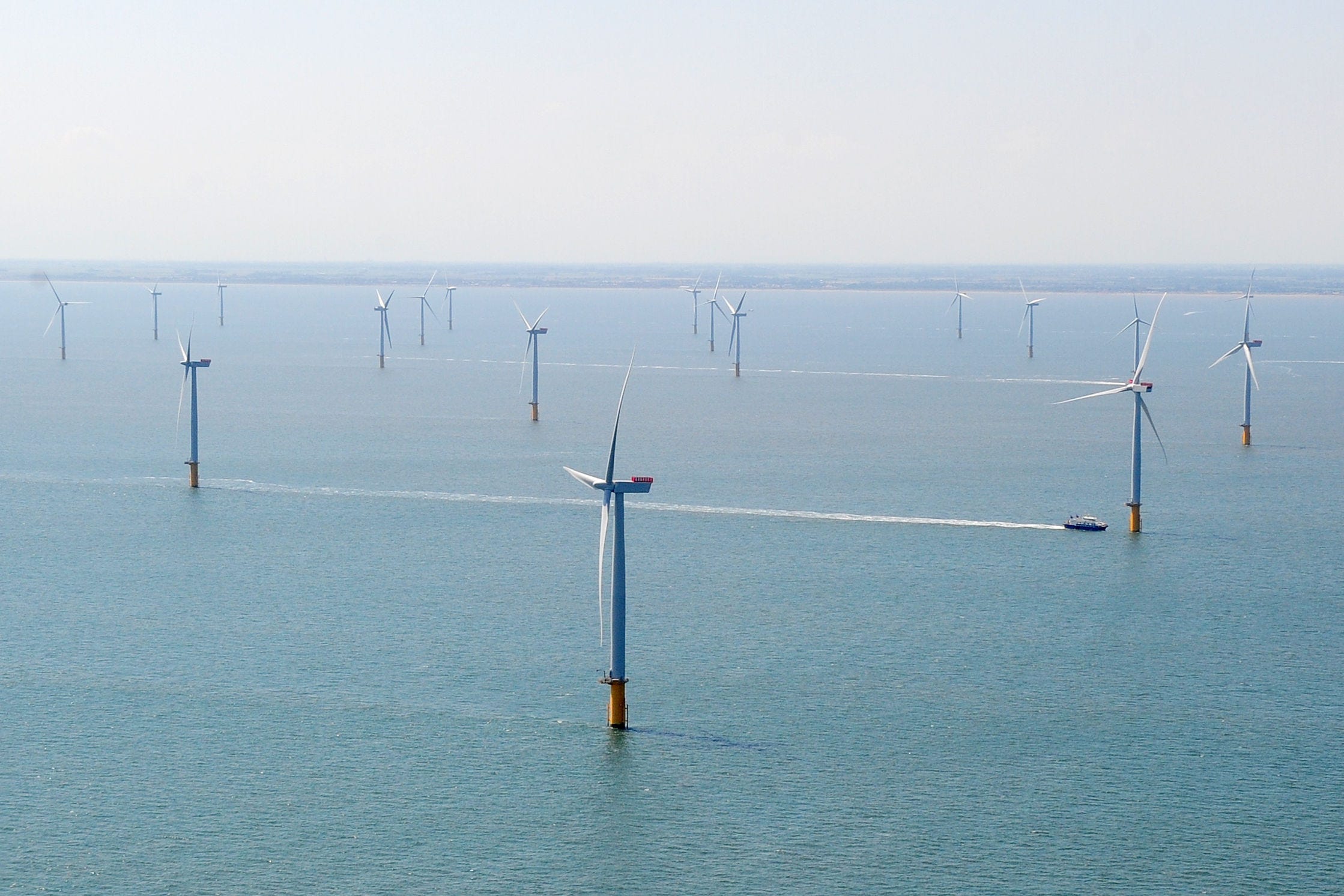 Nine new offshore wind farms were secured this year