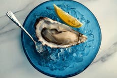 Shucking season: A guide to native oysters and how to never get them wrong again