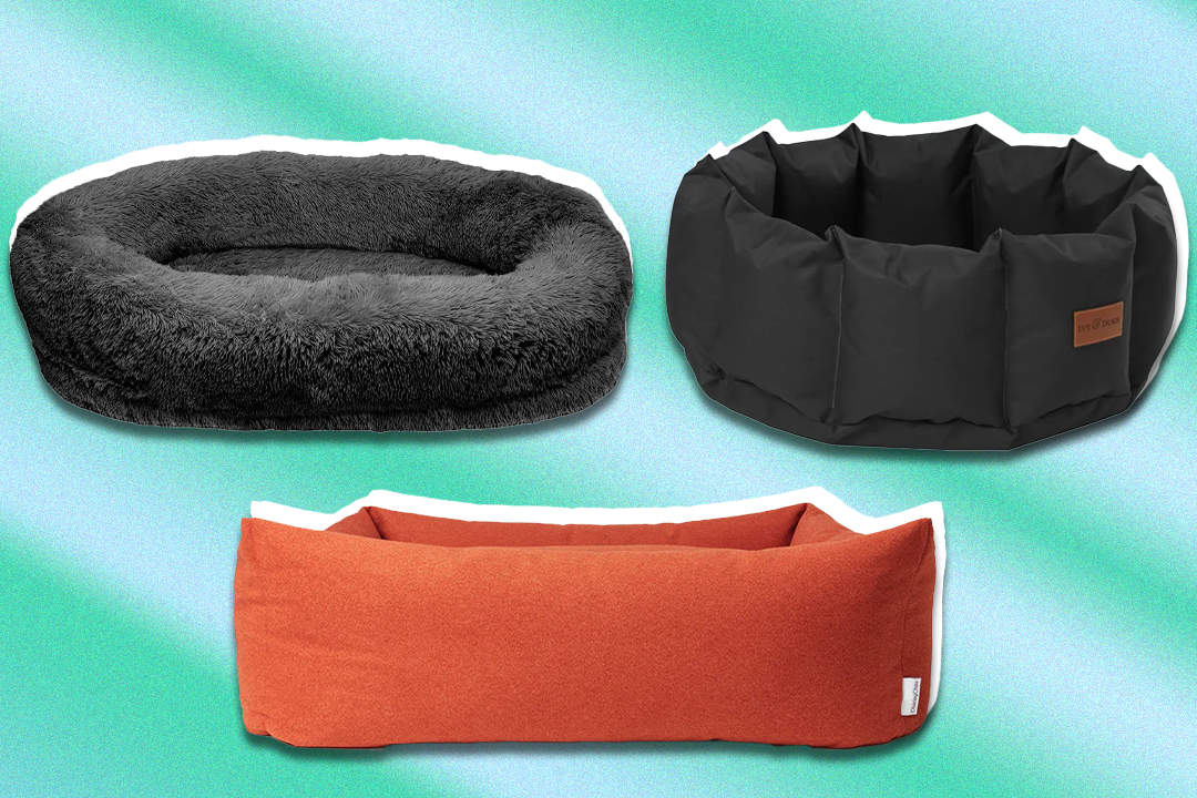 We called in the help of some canine testers to put these dog beds through their paces