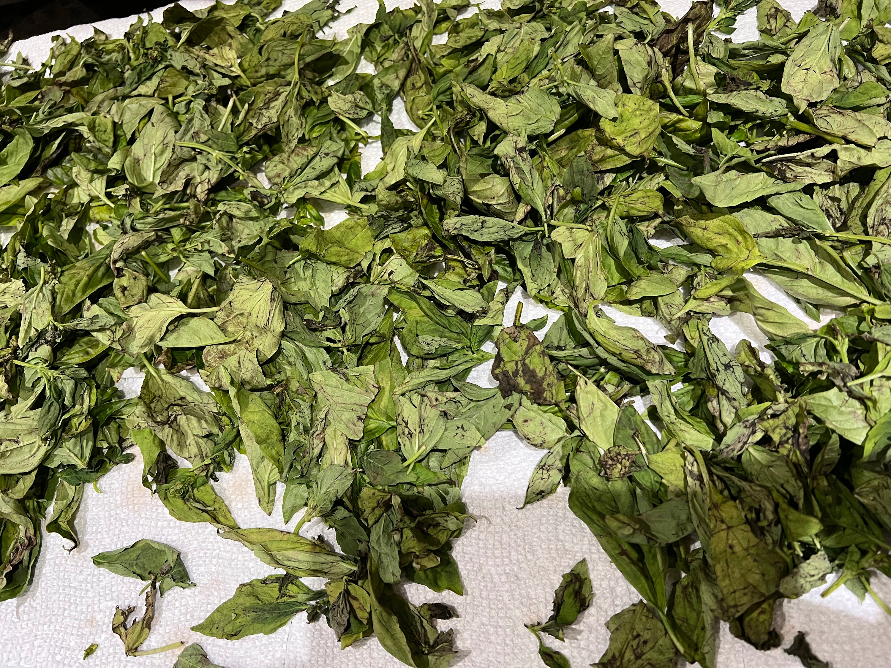 Gardening-Preserving the Harvest