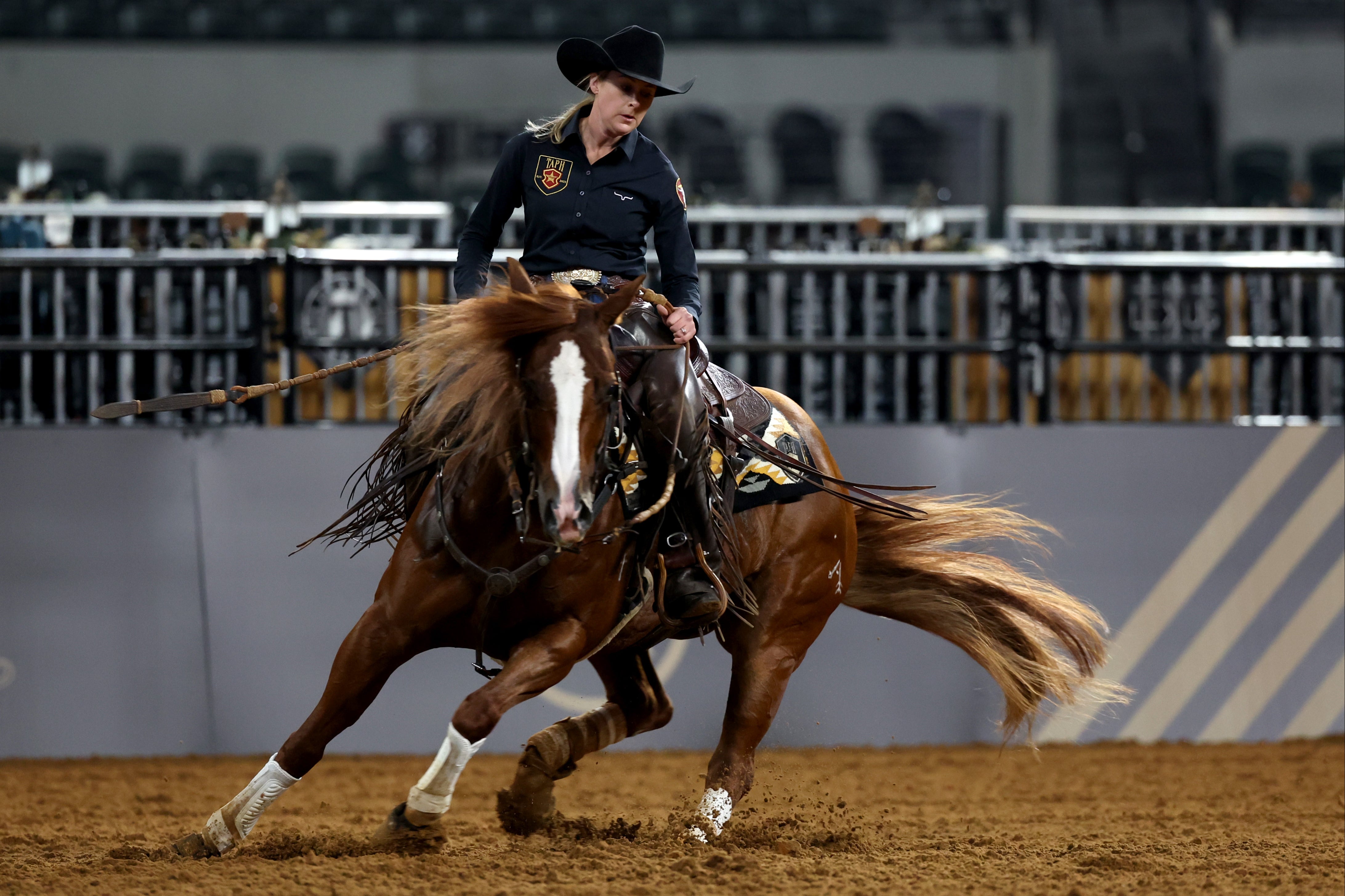 Up to 70 horses died in Oklahoma after eating a load of feed contaminated with a toxic additive