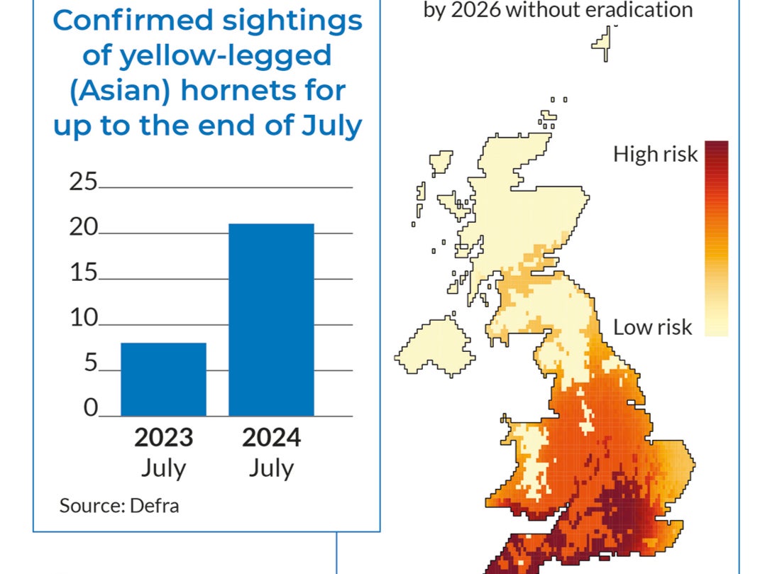 There were nearly three times as many sightings to the end of July this year than the same period last year