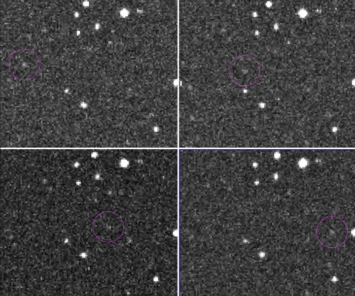 Images of asteroid 2024 RW1 when it was discovered by the Catalina Sky Survey