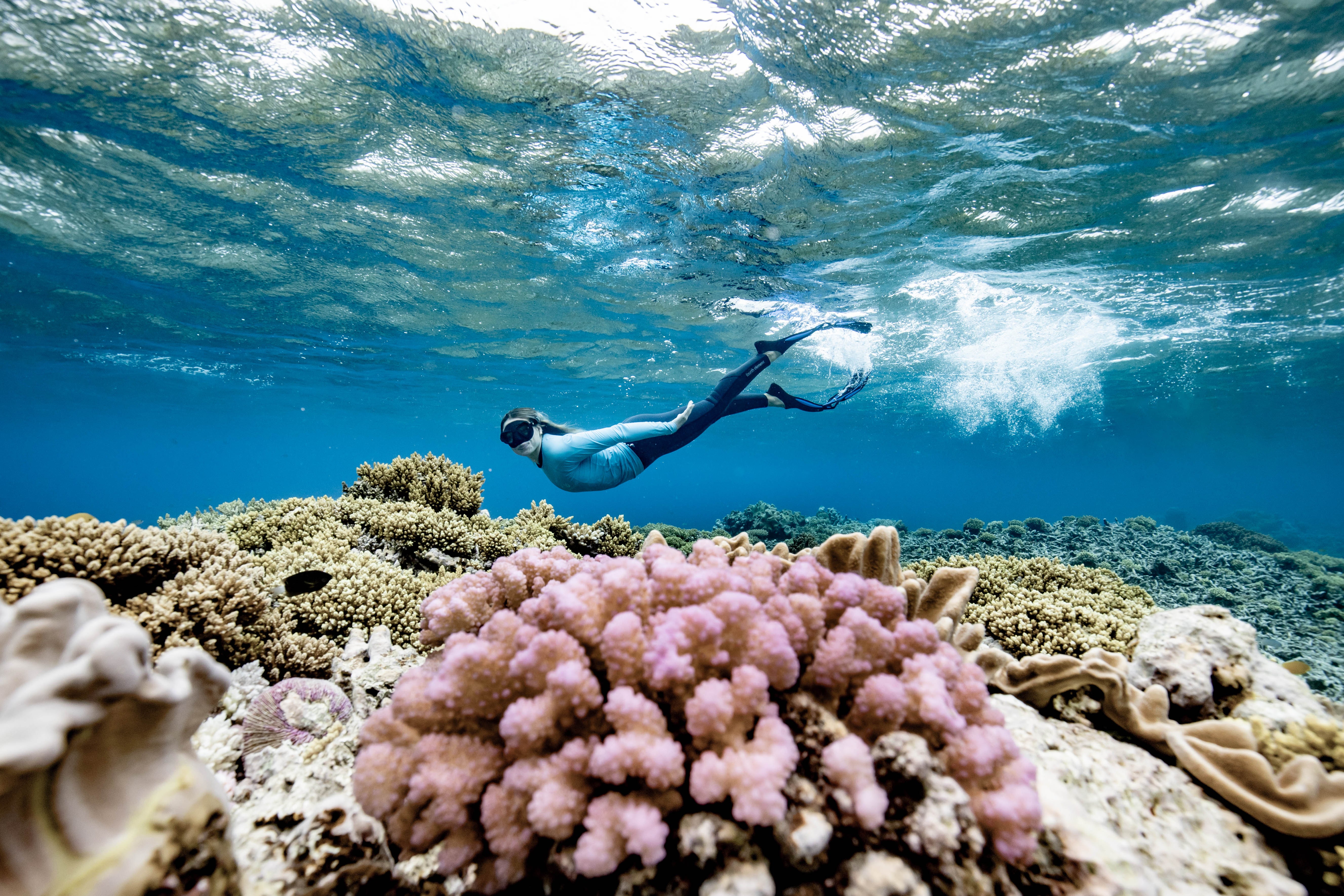 A new programme means learning how to look after the Great Barrier Reef rewards visitors with money off their holiday experiences