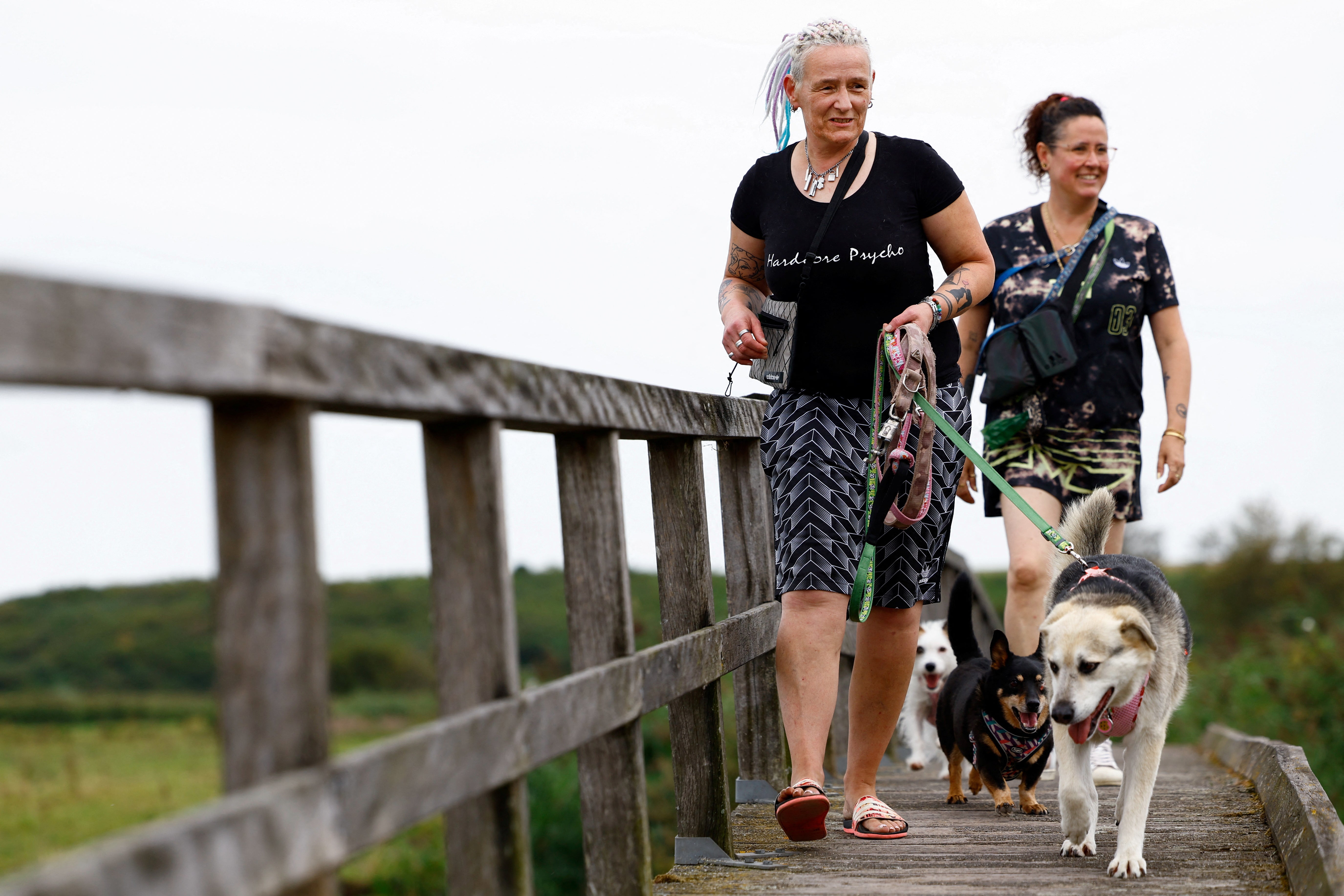 Dog Deezi from an Istanbul shelter walks with its new owners Caroline and Meike in Haarlem, Netherlands September 3, 2024