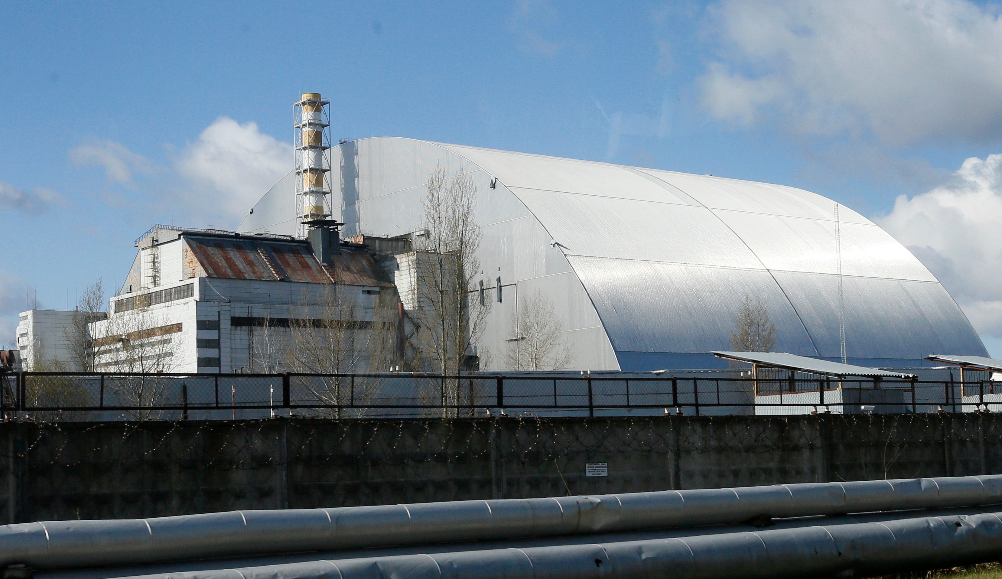 Sweden Mushroom Chernobyl