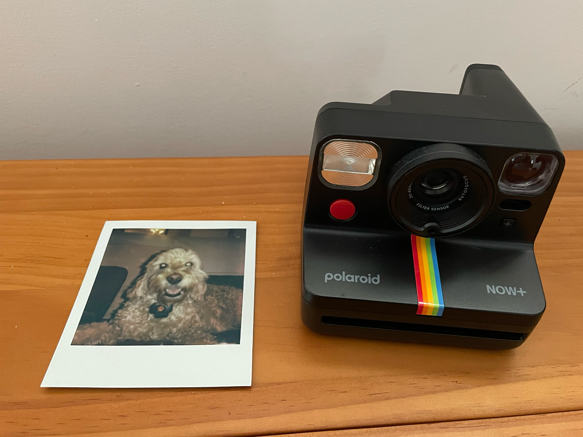 Polaroid Now+, best instant cameras 