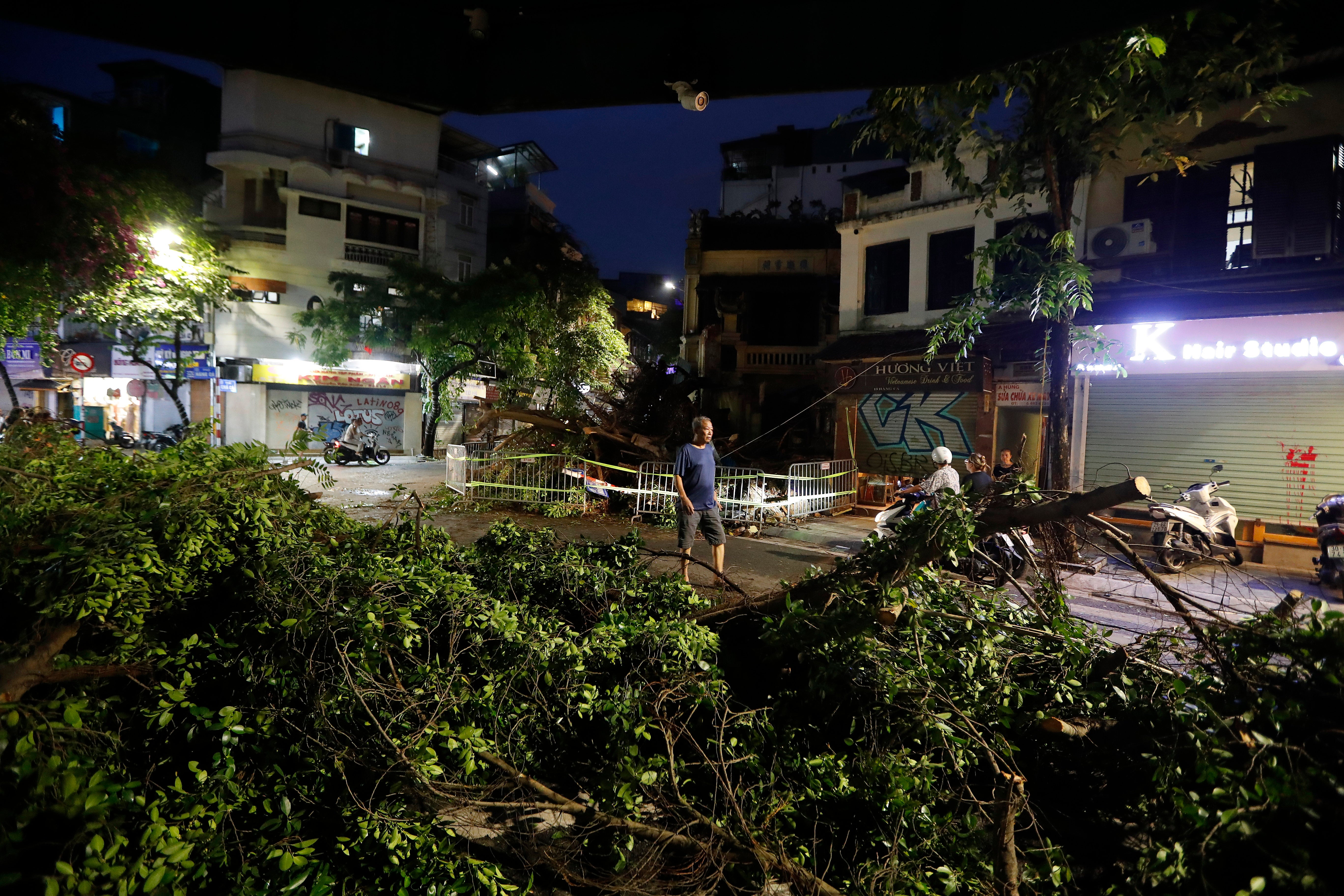 A man walks past a fallen tree which blocks a street due to the strong wind in Hanoi, Vietnam, 06 September 2024