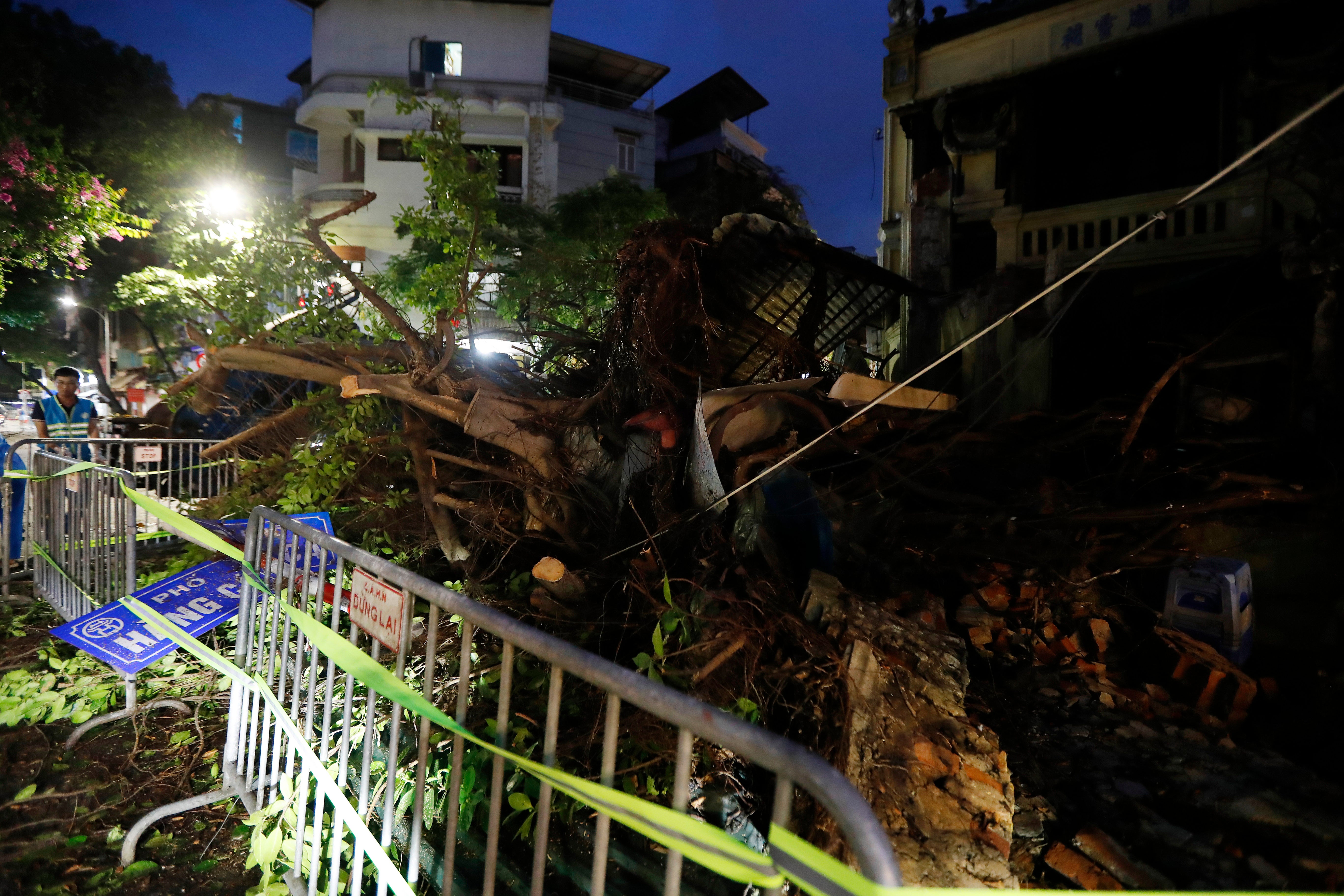 A fallen tree blocks a street due to the strong wind in Hanoi, Vietnam, 6 September 2024