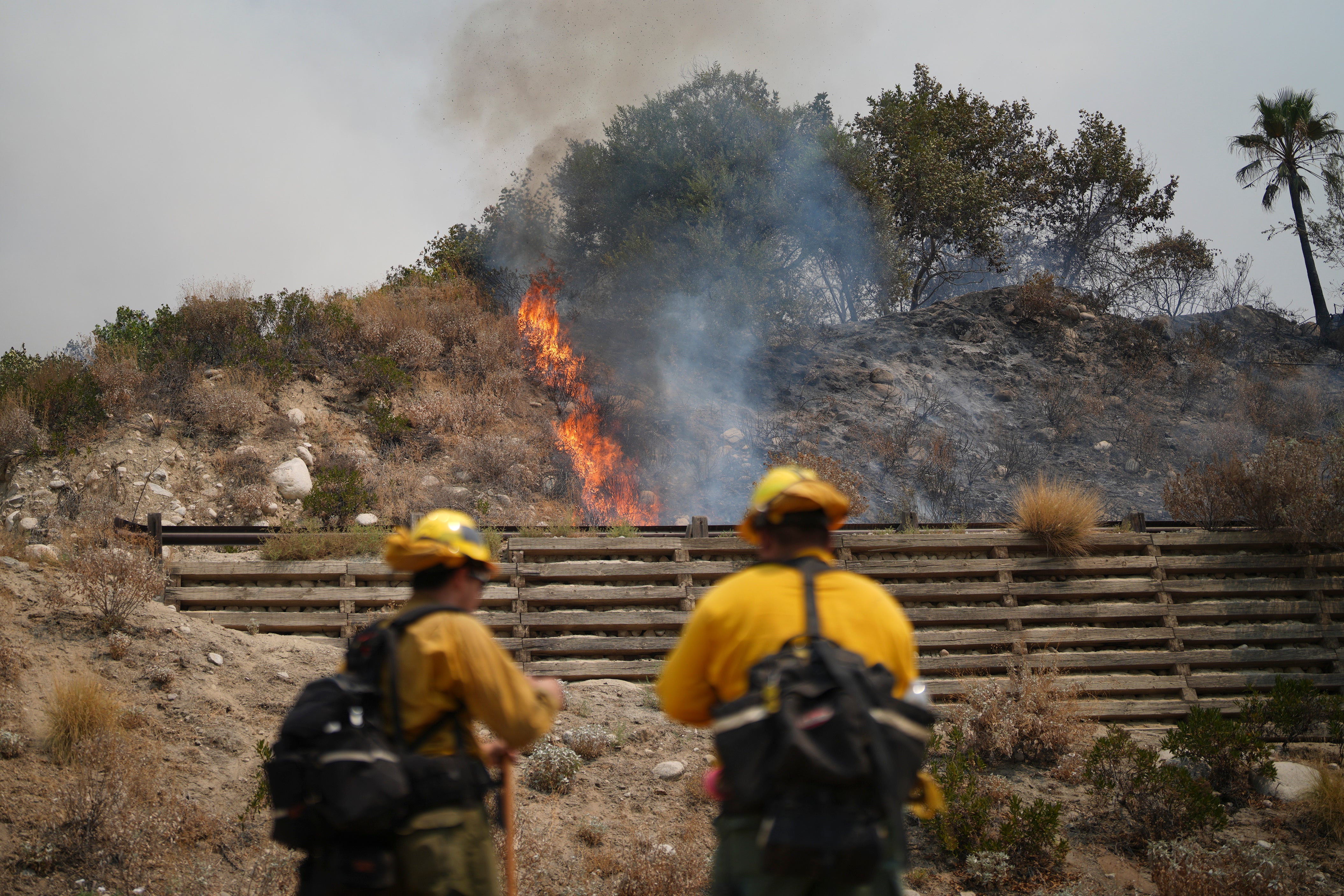 The Line Fire near Highland, California, expanded to more than 17, 400 acres overnight on September 7, 2024