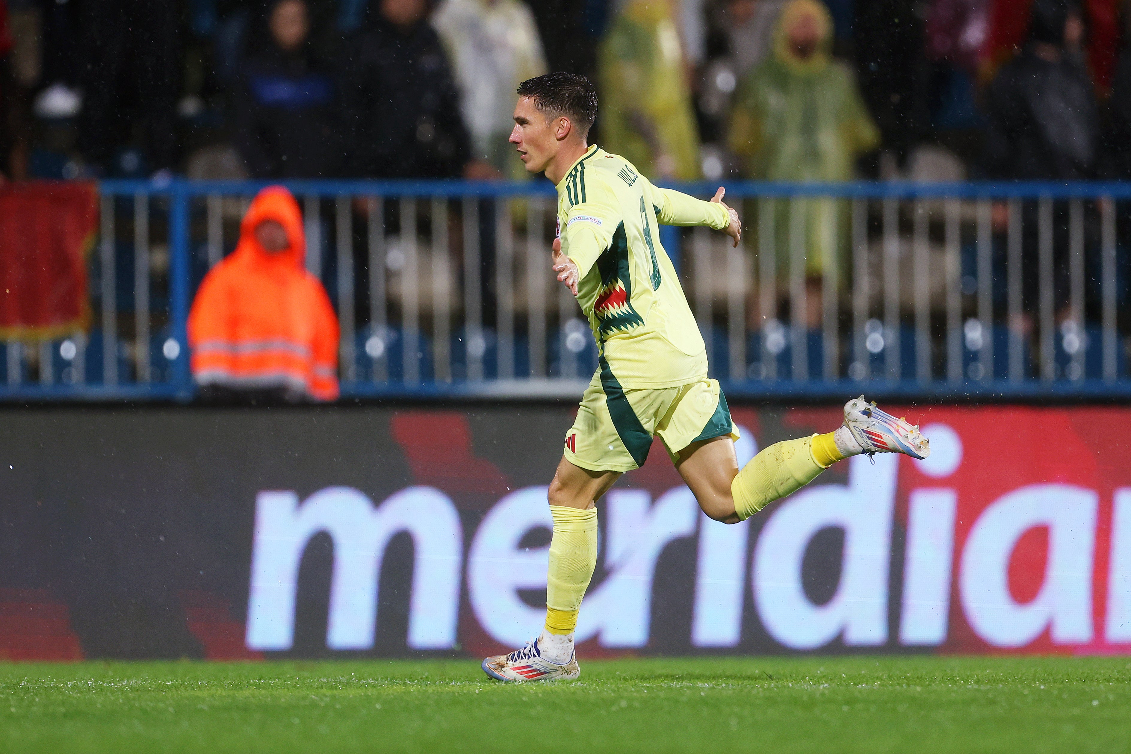 Wilson celebrates after his stunner