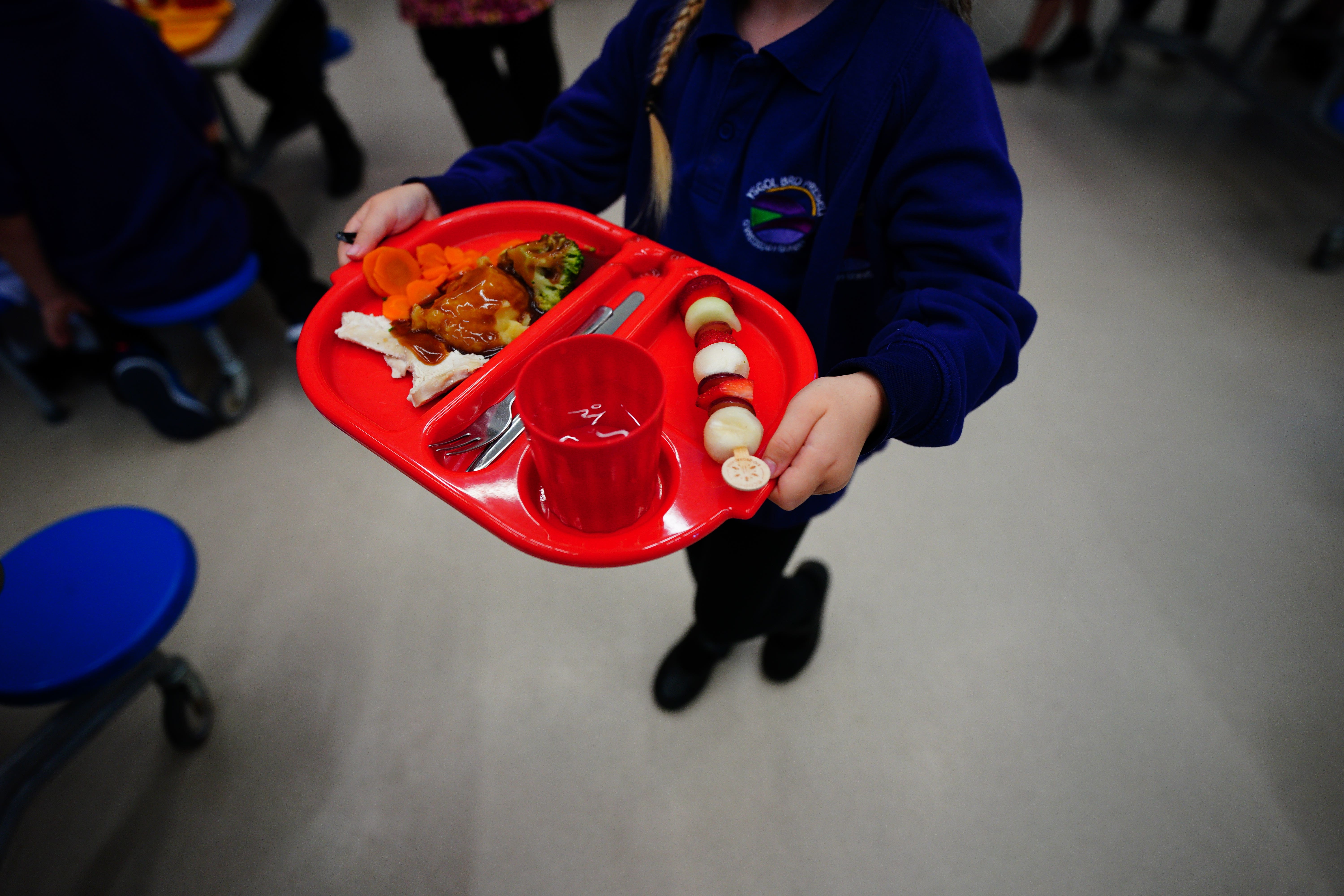 All primary school-aged children should be given free meals to help tackle the obesity crisis, leading health experts have said (Ben Birchall/PA)