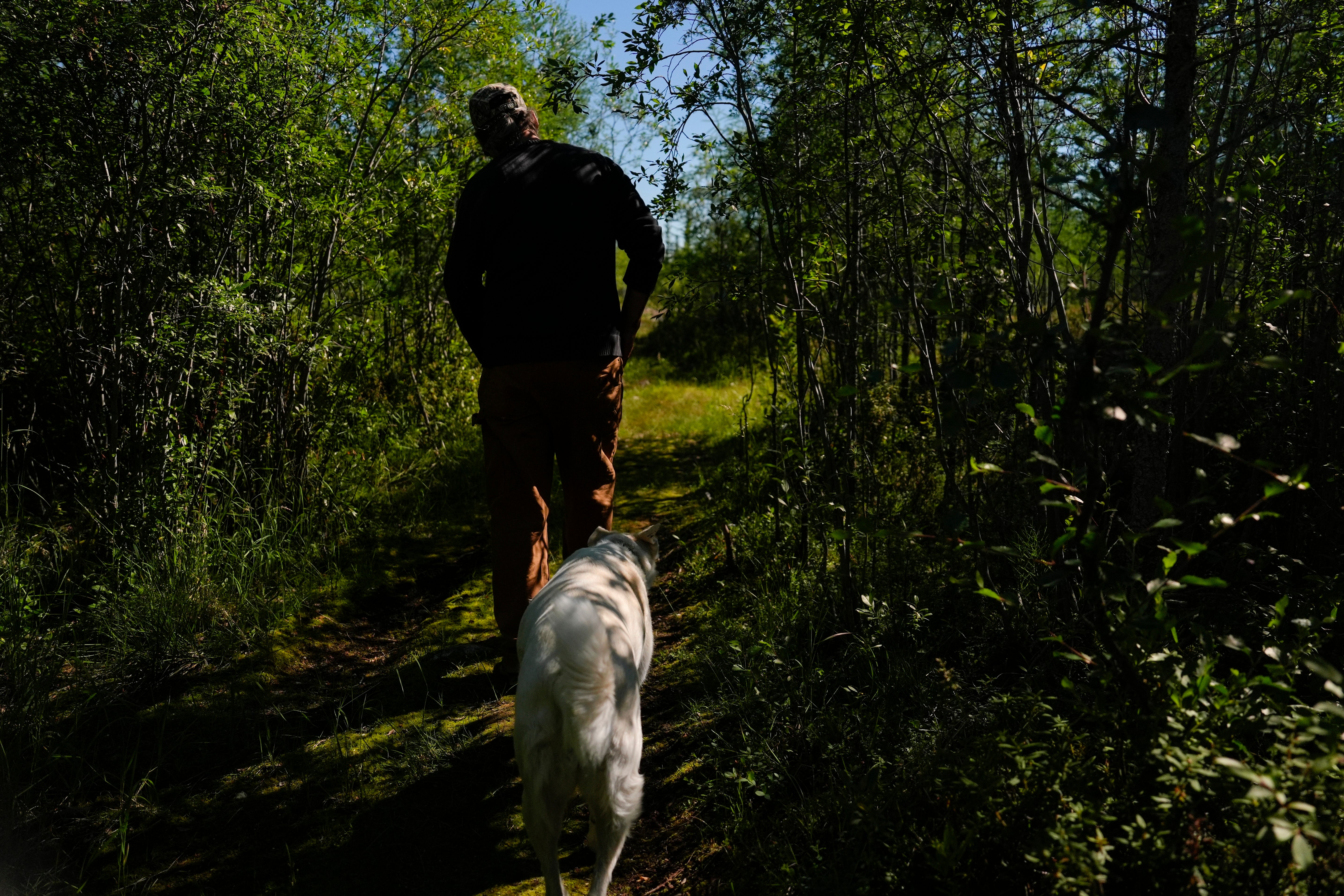 Dave Daley, a member of the Metis Nation, walks through his property, Thursday, Aug. 8, 2024, in Churchill, Manitoba