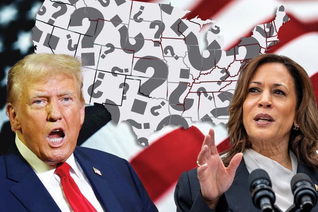 <p>Polls are very different to betting odds, for a multitude of very good reasons — and polls show Harris and Trump remaining neck-and-neck as we enter the final stretch </p>