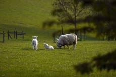 Call to boost agriculture budget to ‘value’ food security amid fears of cuts