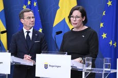 Sweden gets a new foreign minister after Billström's shock departure last week