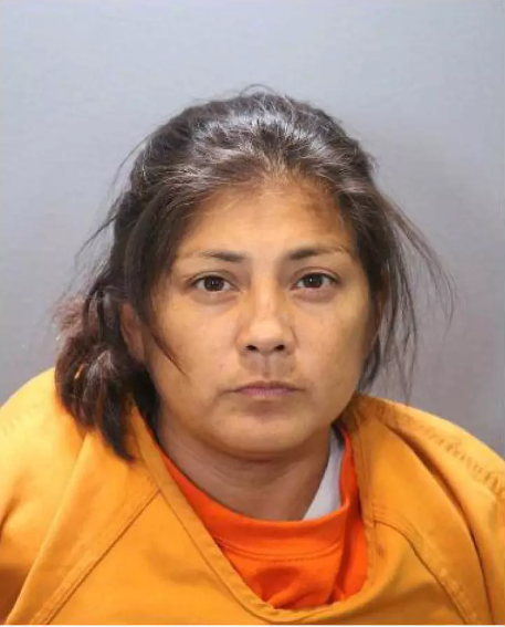 Sandra Hernandez-Cazares, 42, was ‘severely intoxicated’ when she lost consciousness while inside her parked car outside her home in the extreme summer heat earlier this month