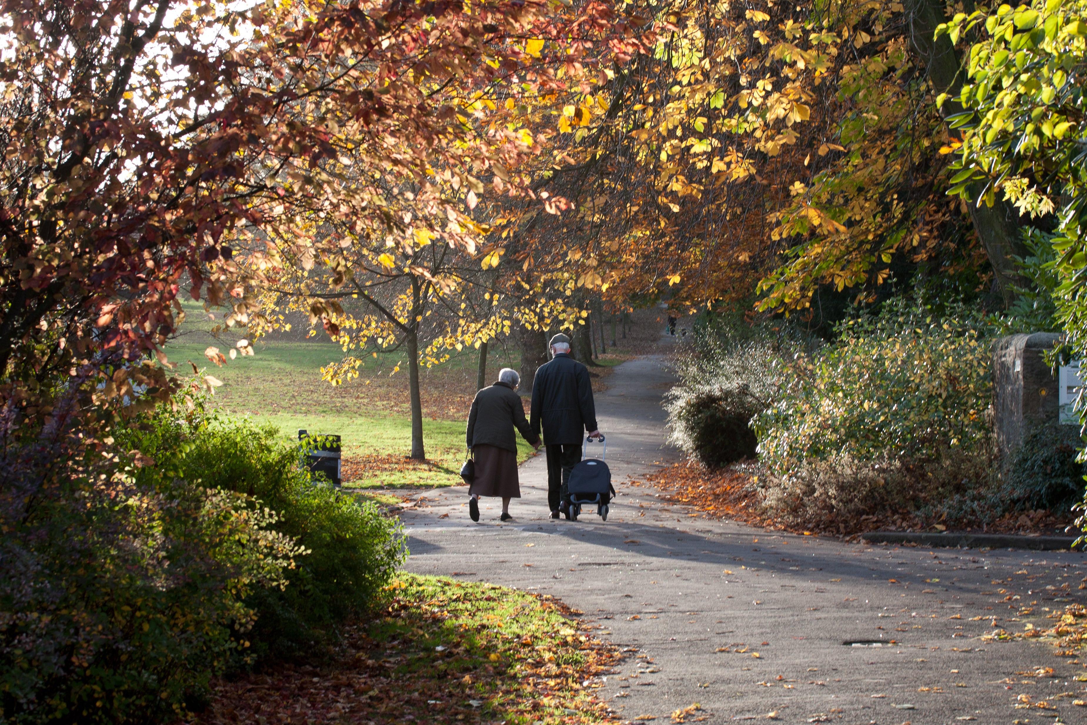 An elderly couple walk through a park in Valley Gardens, Harrogate