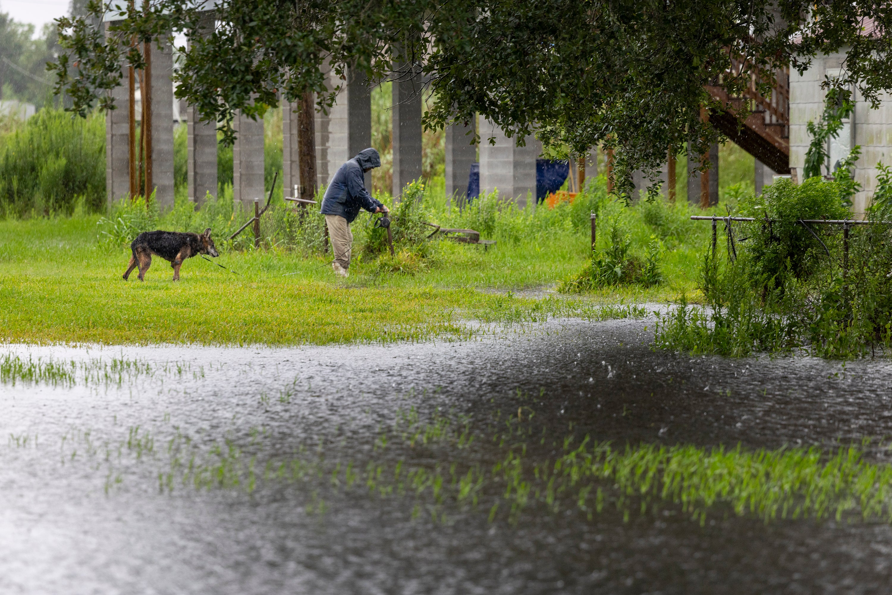 A resident of Dulac walks his dog around rising water on Wednesday. Conditions in Dulac were quikcly deteriorating during the afternoon.