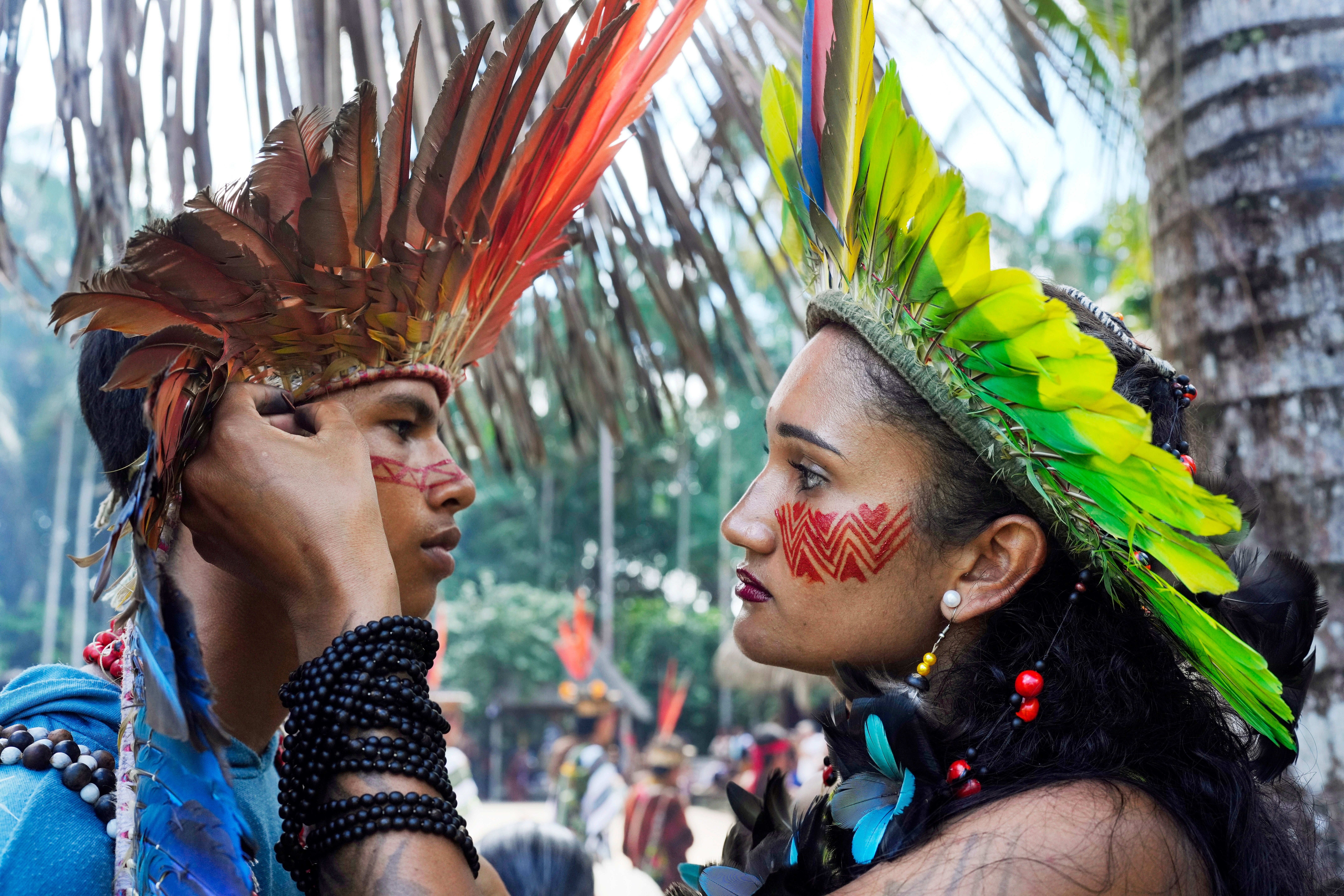 Climate Amazon Indigenous Reforestation