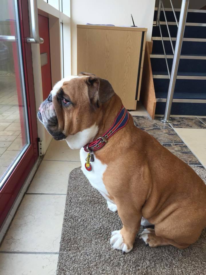 Barney is ‘determined’ and ‘fit as a fiddle’