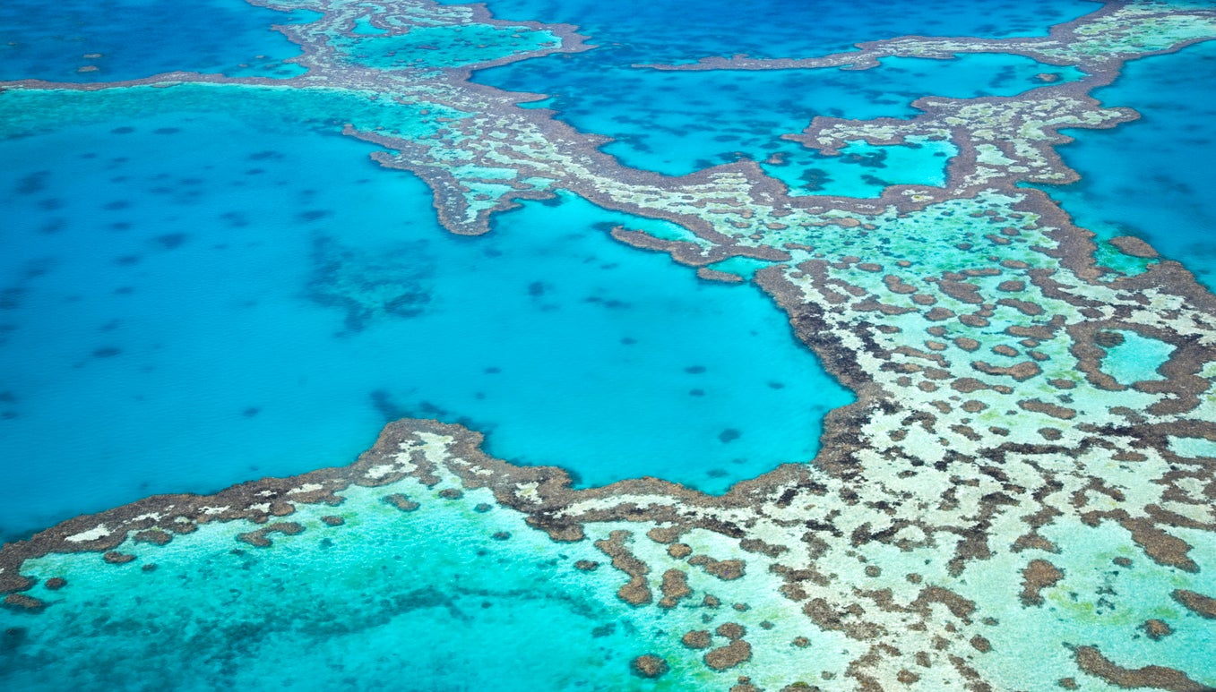 Australia’s Great Barrier Reef is increasingly threatened by rising temperatures